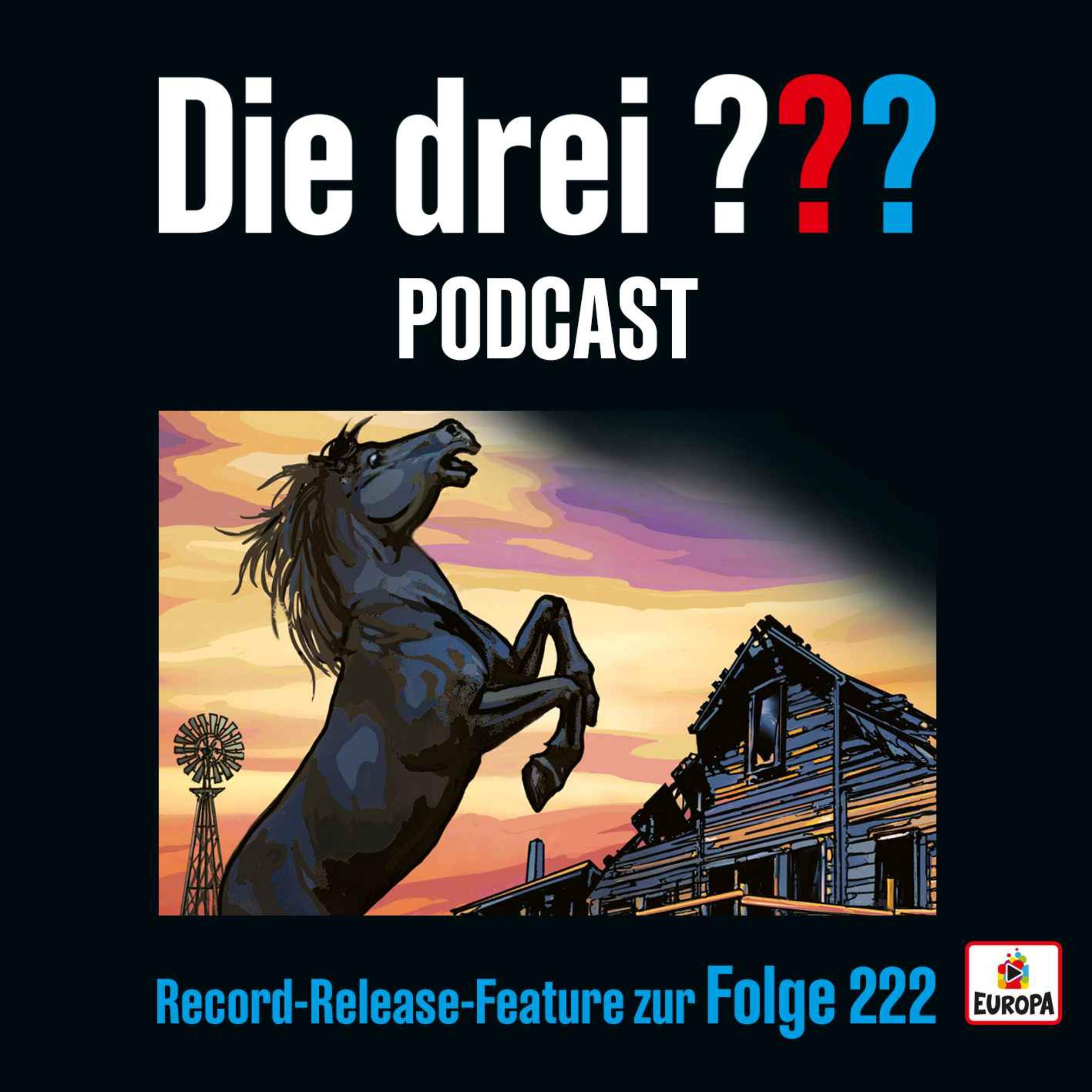 Record-Release-Feature zur Folge 222 episode artwork