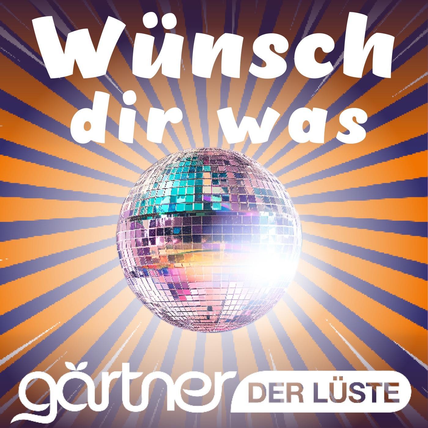 Wünsch dir was episode artwork