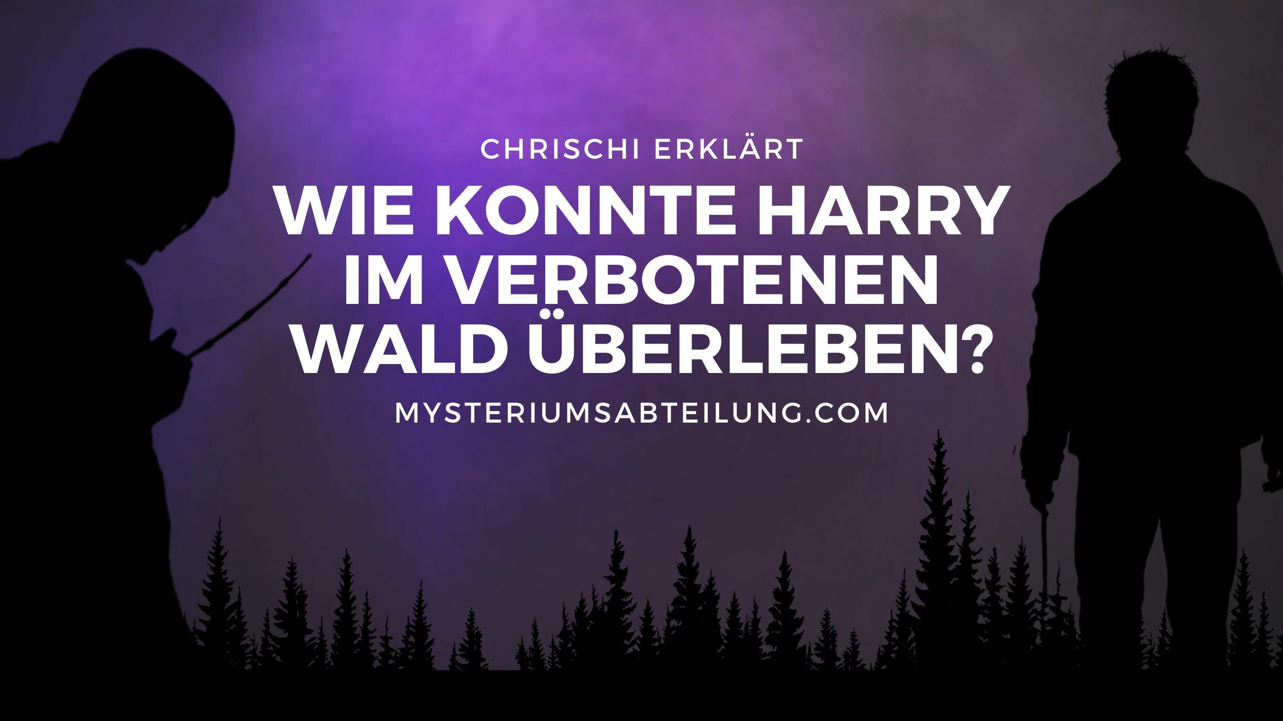 Kurz erklärt: Warum konnte Harry im verbotenen Wald überleben? episode artwork