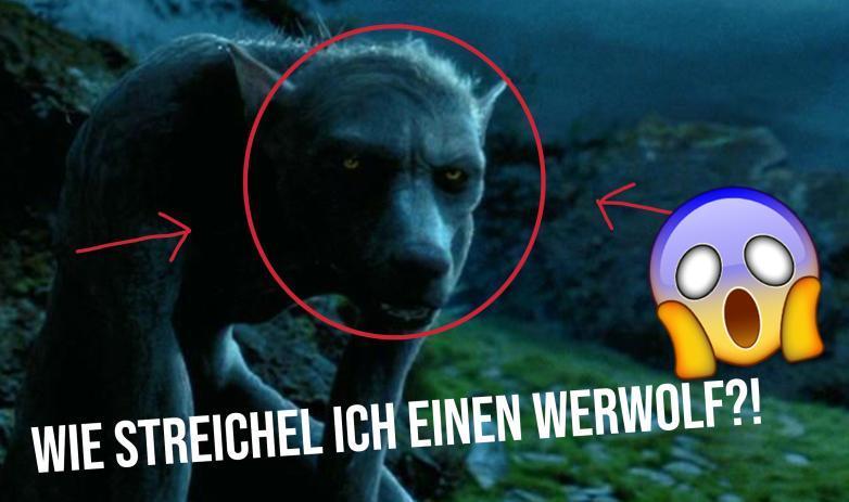 Mysteriumsabteilung - der Podcast für Harry Potter Fans