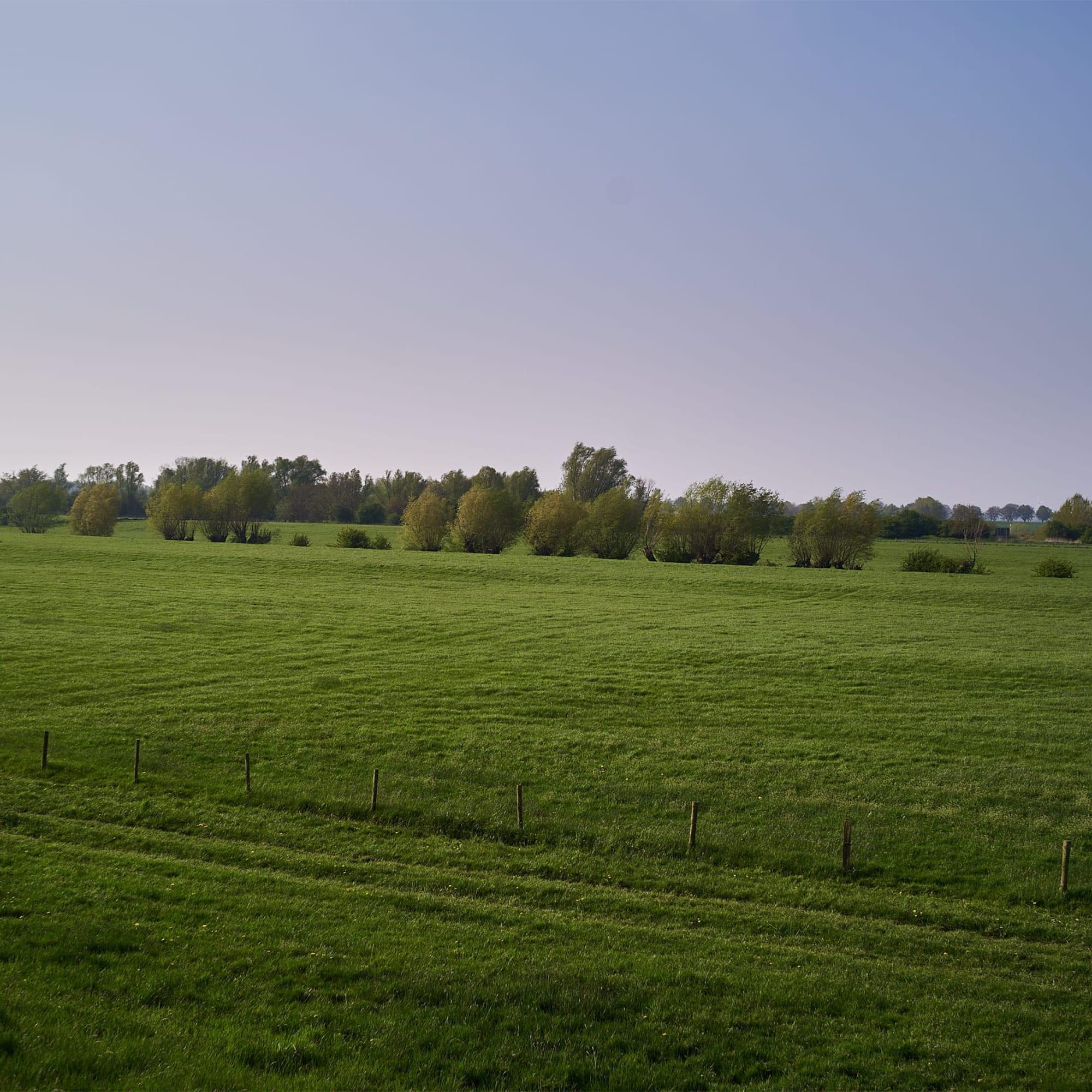 S2F2 – Der Bauernhof