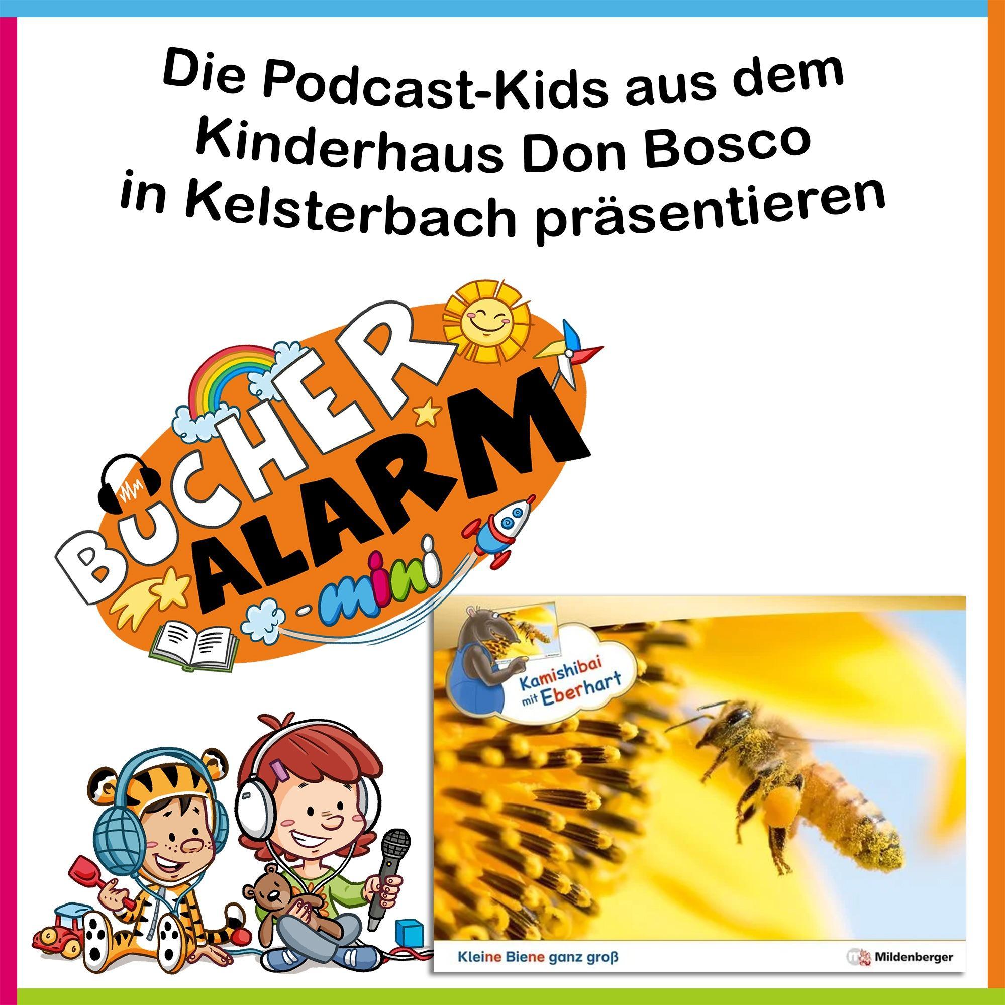 🐝"Kleine Biene ganz groß" mit den Podcast-Kids im Kinderhaus Don Bosco in Kelsterbach episode artwork