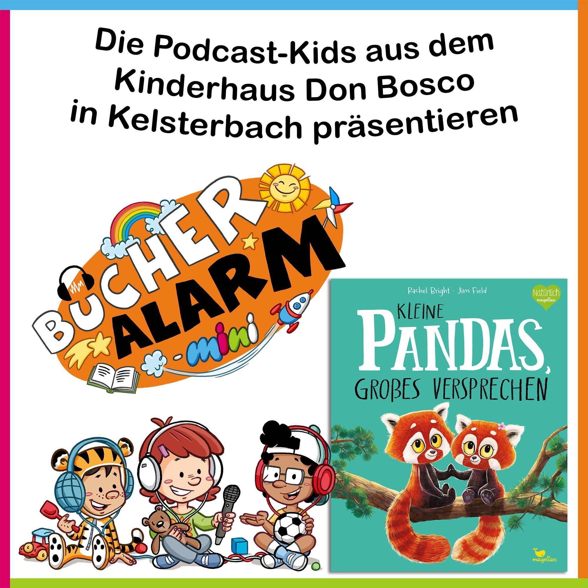 🐼“Kleine Pandas, großes Versprechen”  mit den Podcast-Kids im Kinderhaus Don Bosco Kelsterbach episode artwork