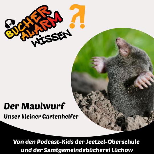 https://buecheralarm-wissen.blogs.audiorella.com/24-maulwurf