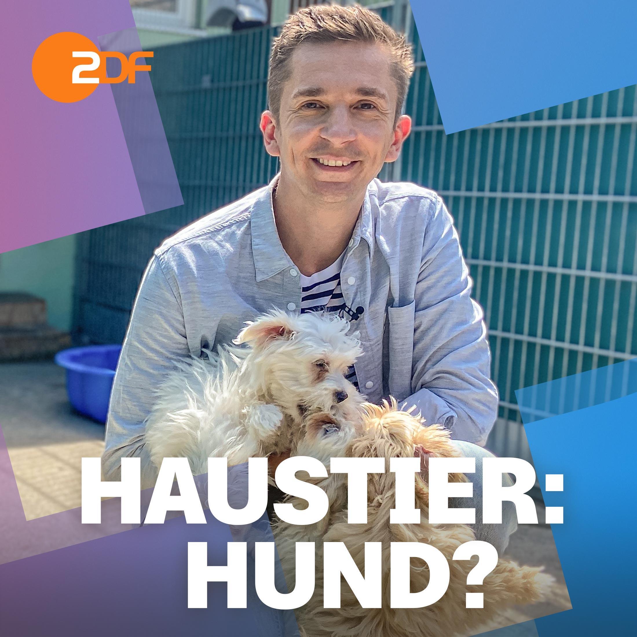 PUR+ Wissendrin mit Eric