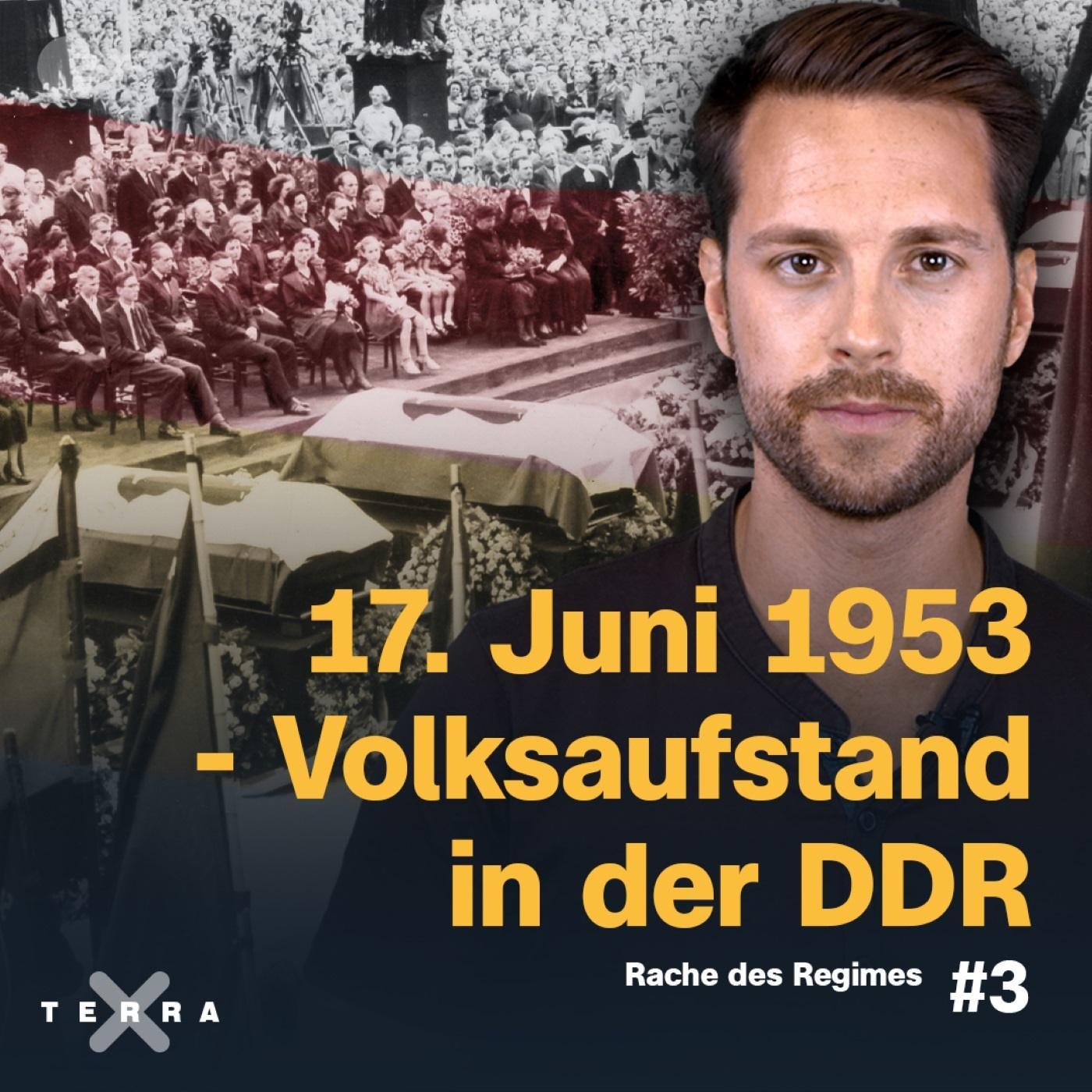 Terra X History - Der Podcast