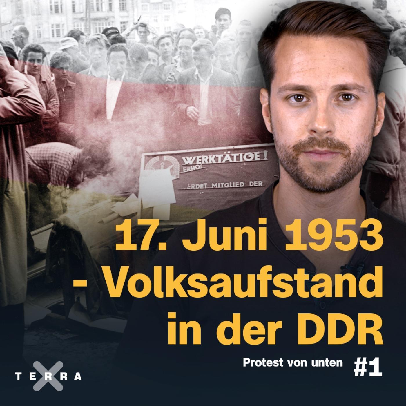 Terra X History - Der Podcast