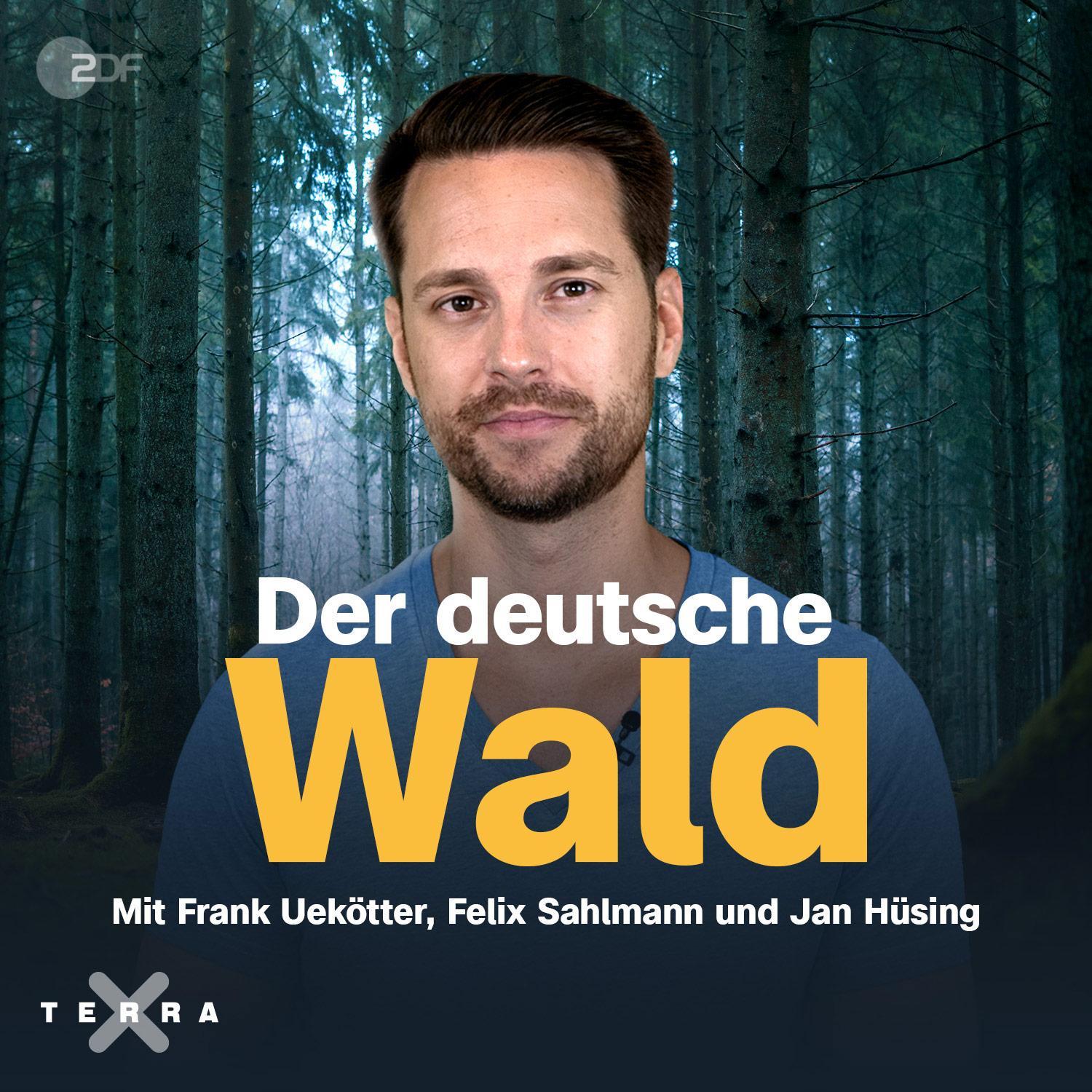 Terra X History - Der Podcast