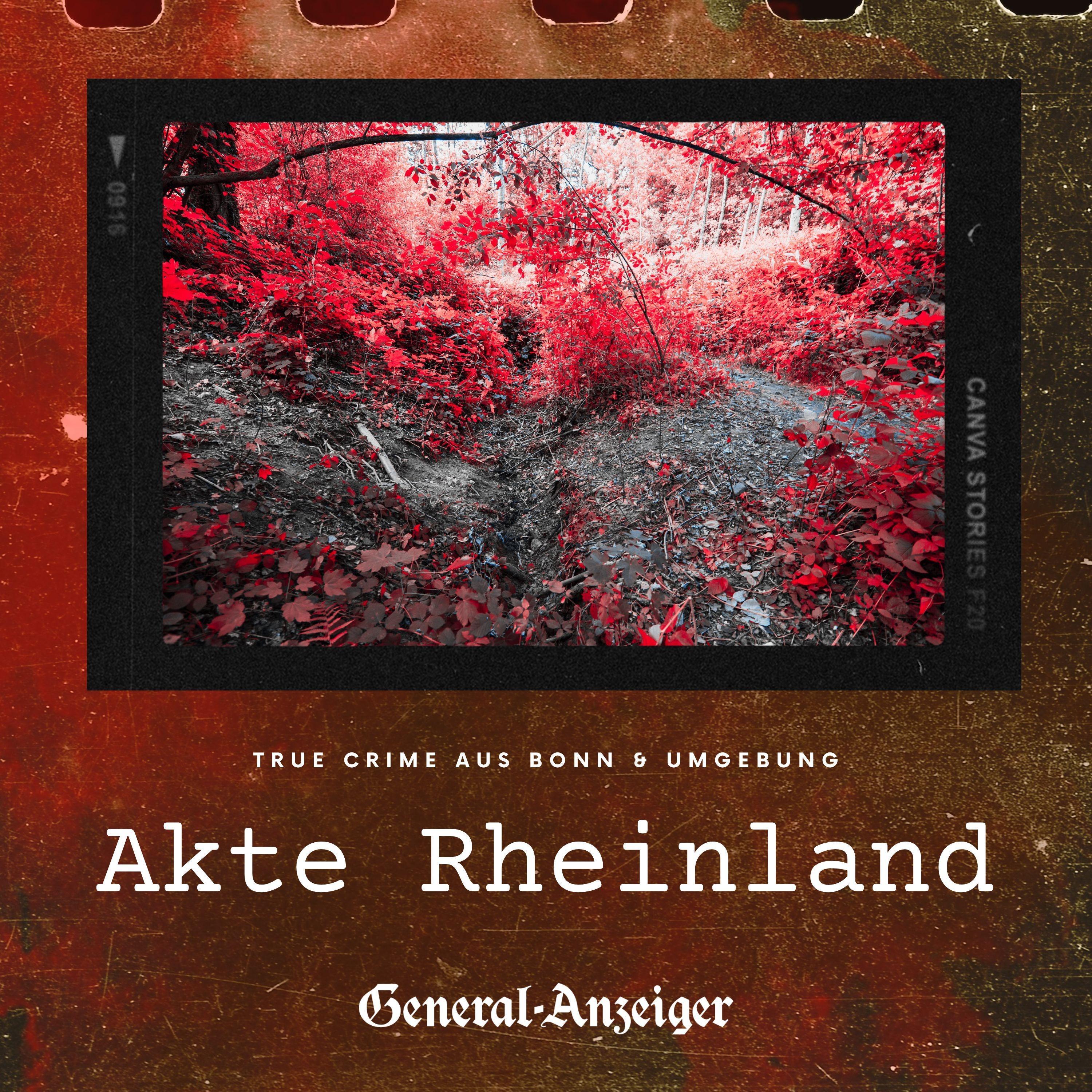 Der Tote im Wald episode artwork