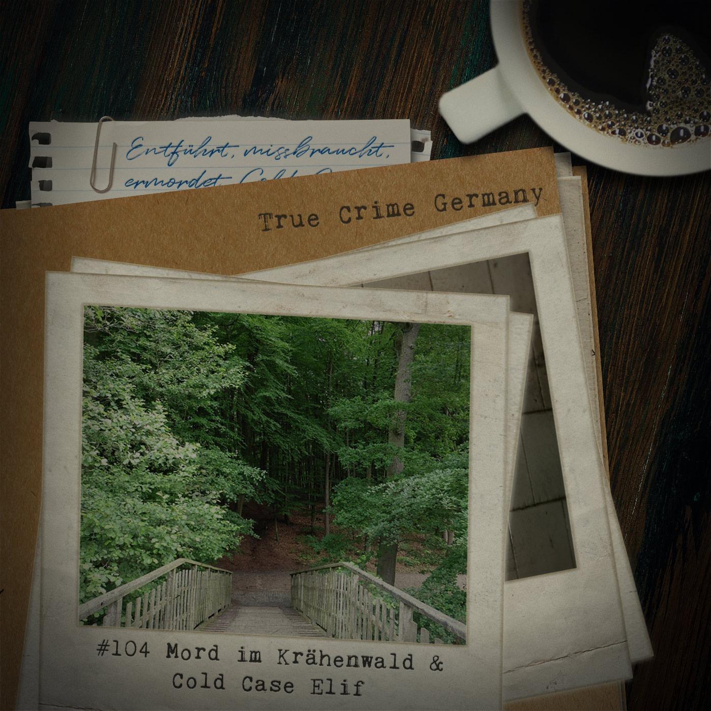 #104 Mord im Krähenwald / Der Cold Case Elif episode artwork