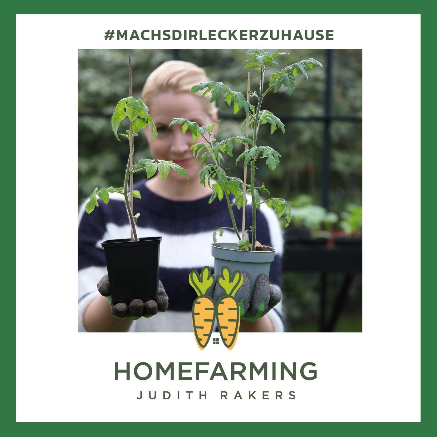 #7- Mai: Wir eröffnen die Freiluft-Homefarming-Saison + Die Vor- und Nachteile eines Hahns + lecker Green-Smoothie!