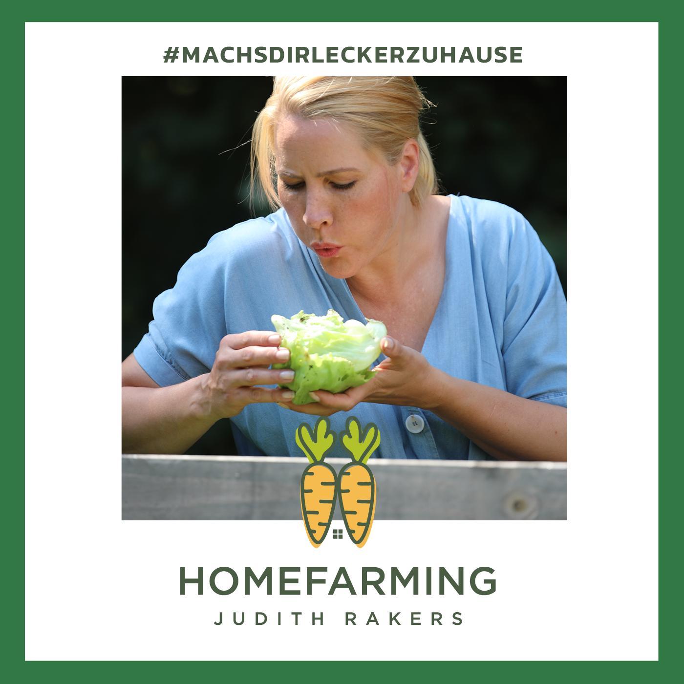 #10 - Juni: Schädlinge im Gemüsebeet + Kükenschule + Lecker Erdbeeren #10 - Juni: Schädlinge im Gemüsebeet + Kükenschule + Lecker Erdbeeren