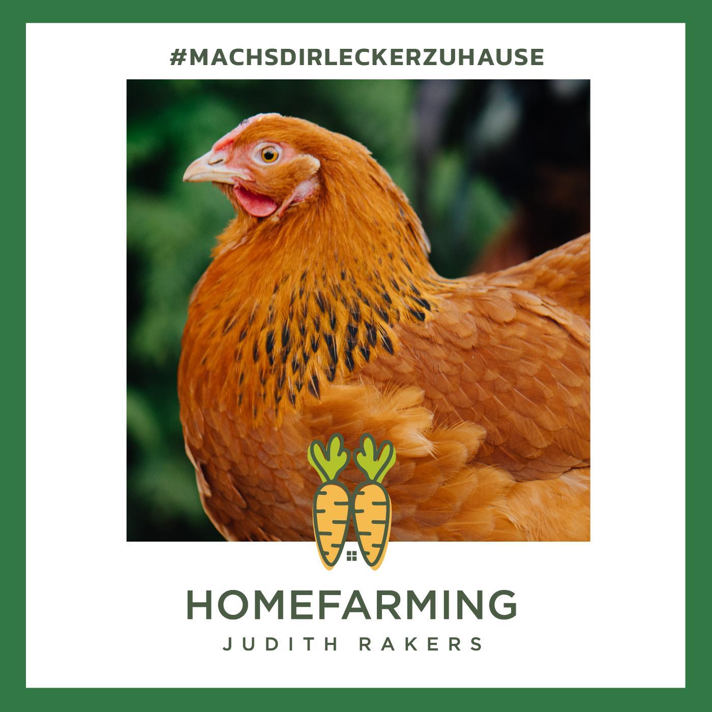 #13 – August: Chicken-Special: Zu Gast ist Tierärztin Dr. Eva-Maria Casteel