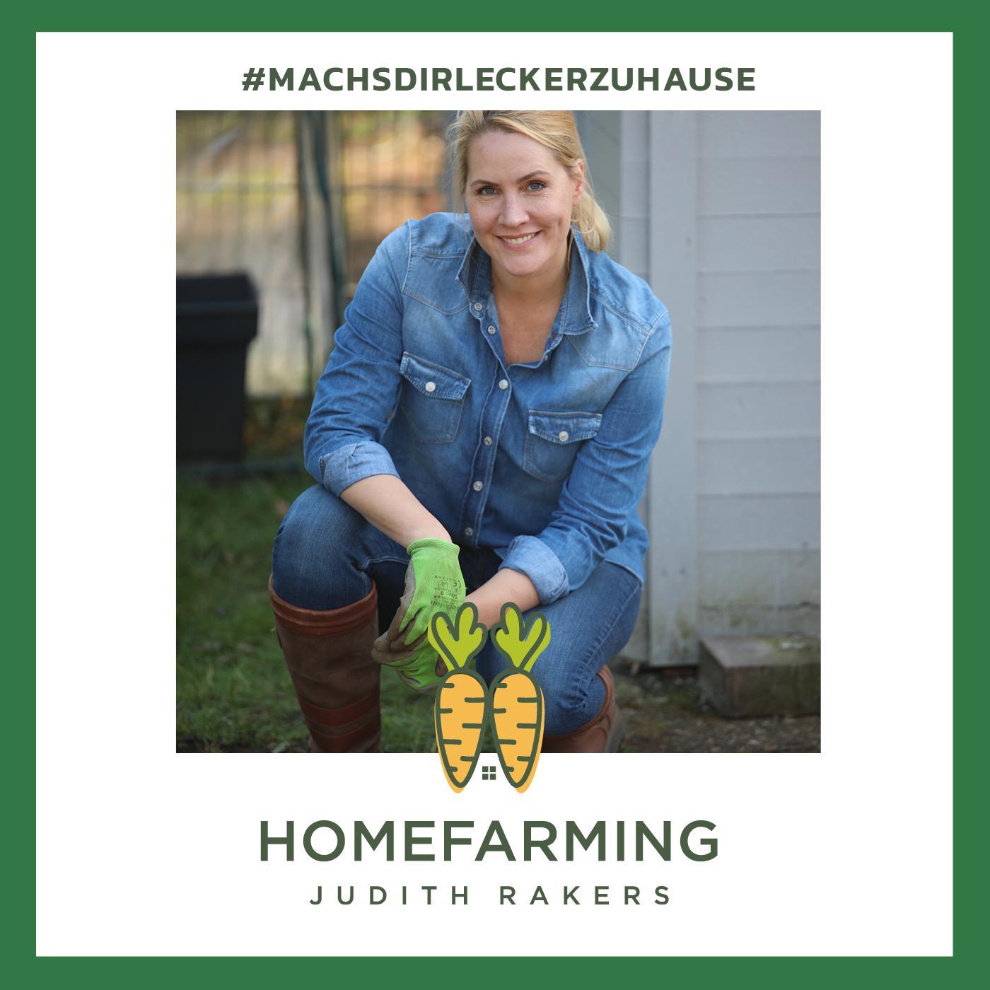 #17 - Oktober: Im Herbst angekommen geht es heute um winterfestes Gemüse. #17 - Oktober: Im Herbst angekommen geht es heute um winterfestes Gemüse.