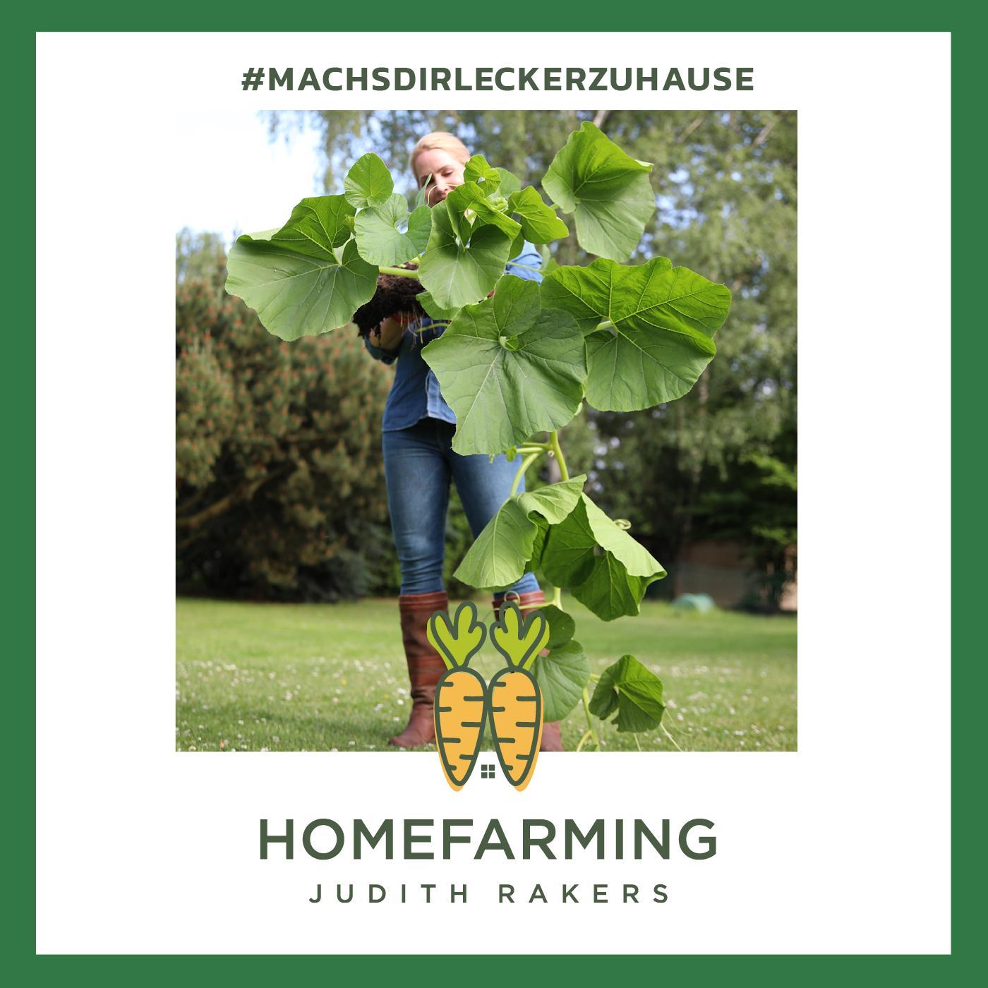 #18 - Oktober: Halloween und Kürbis + Hühner und Mauser + lecker Kürbisrezepte #18 - Oktober: Halloween und Kürbis + Hühner und Mauser + lecker Kürbisrezepte