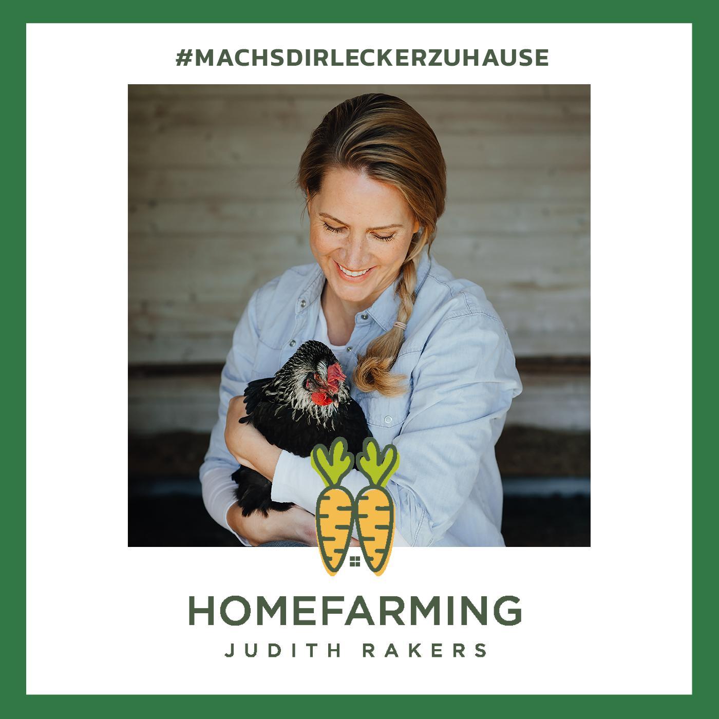 #20 – November: Wir machen Beete, Hühnerstall und Vorrat winterfit #20 – November: Wir machen Beete, Hühnerstall und Vorrat winterfit