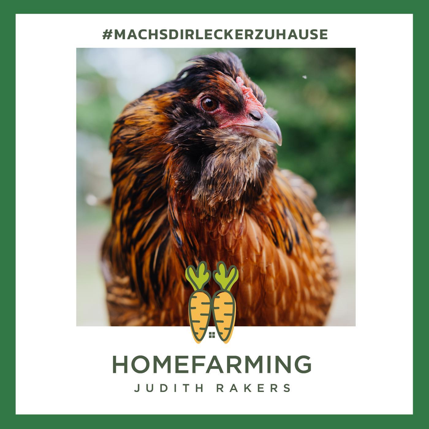 #24 – Februar: Special zu Vogelgrippe-Alarm und Stallpflicht. Zu Gast sind Tierärztin Dr. Eva-Maria Casteel und Hühnerfreundin Nadine Theiler