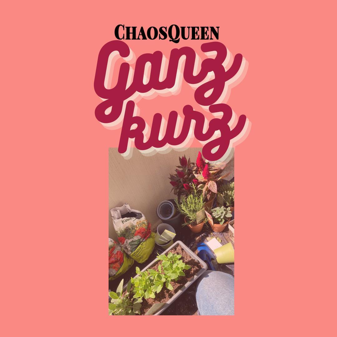 ChaosQueen