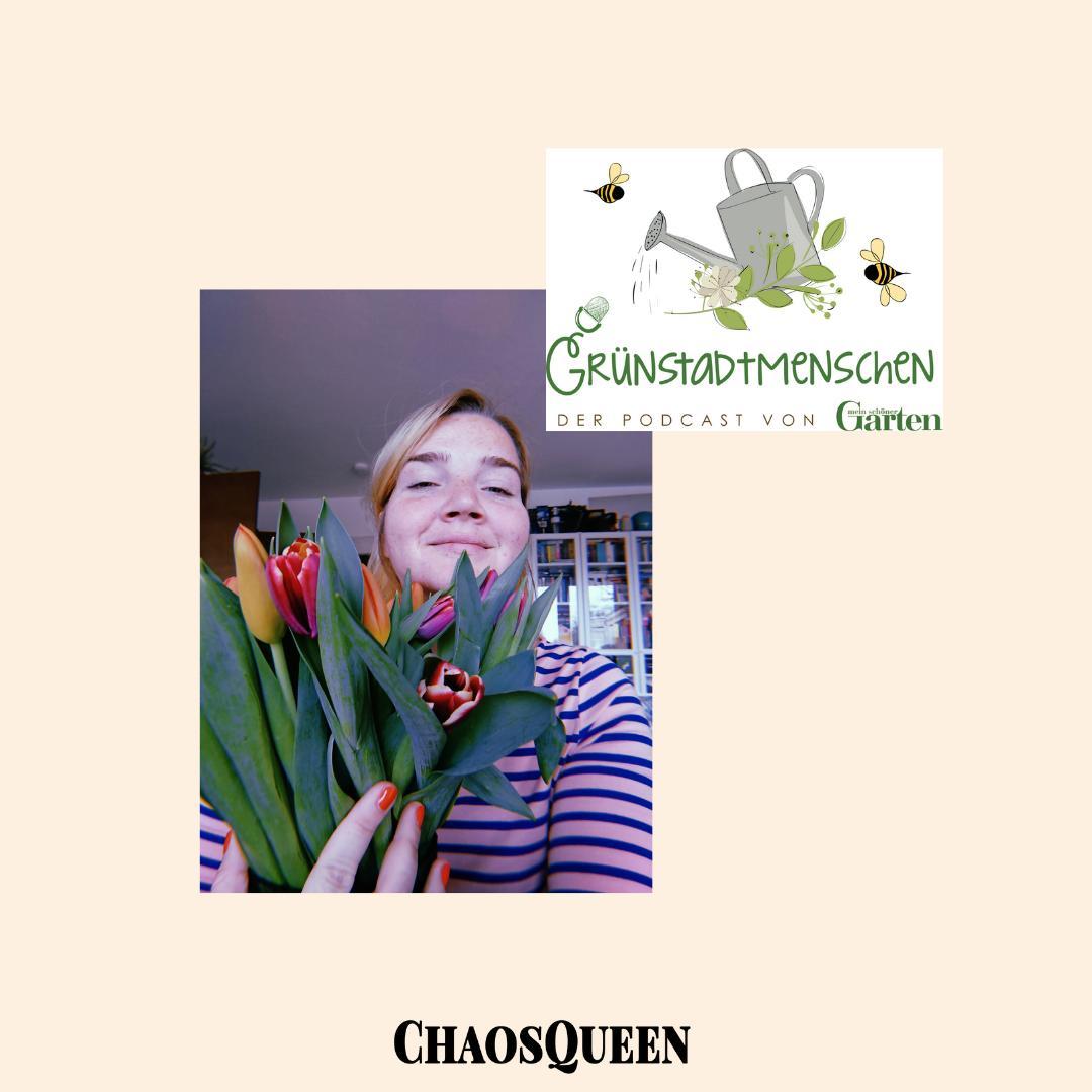 ChaosQueen