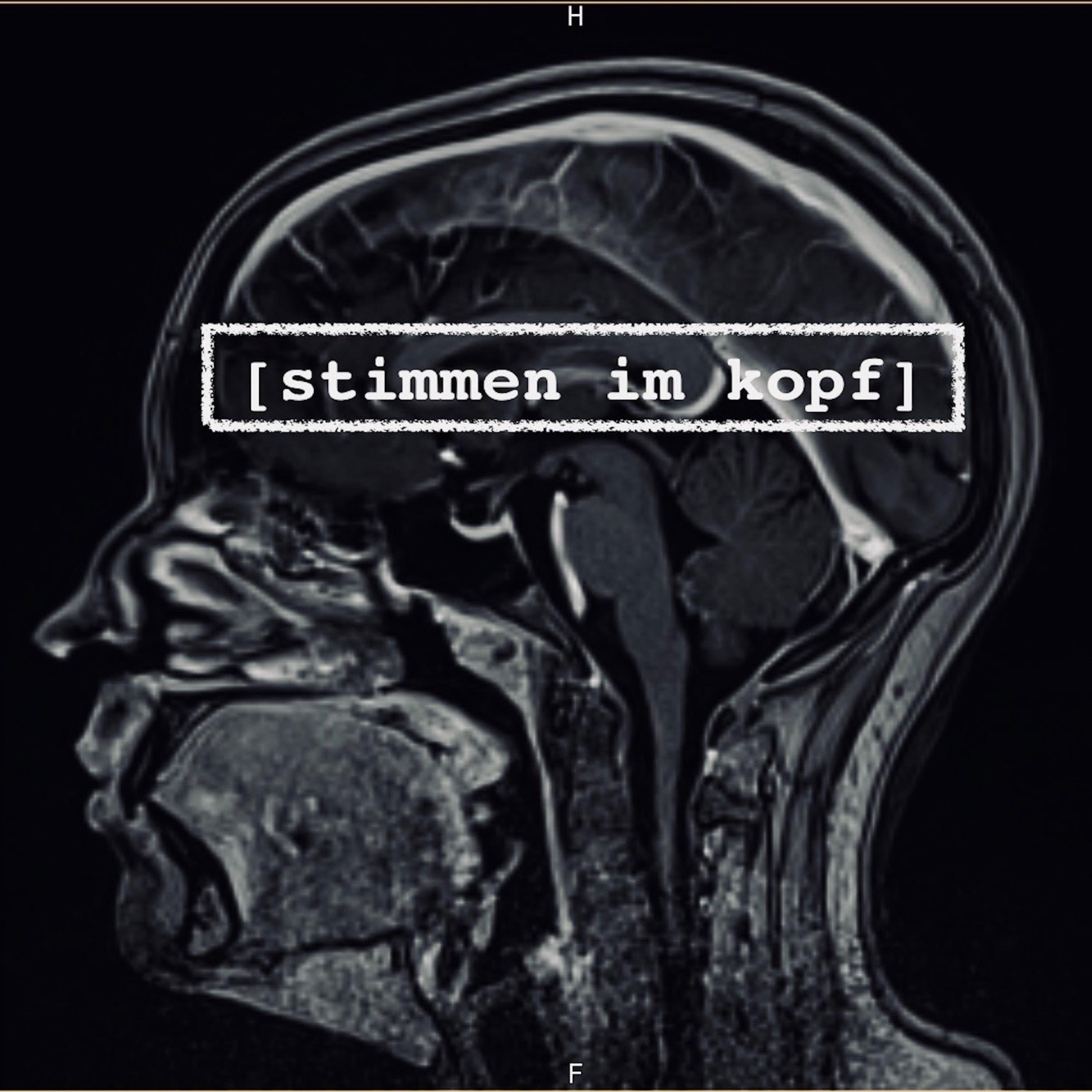 Stimmen im Kopf - True-Crime / Mystery Podcast