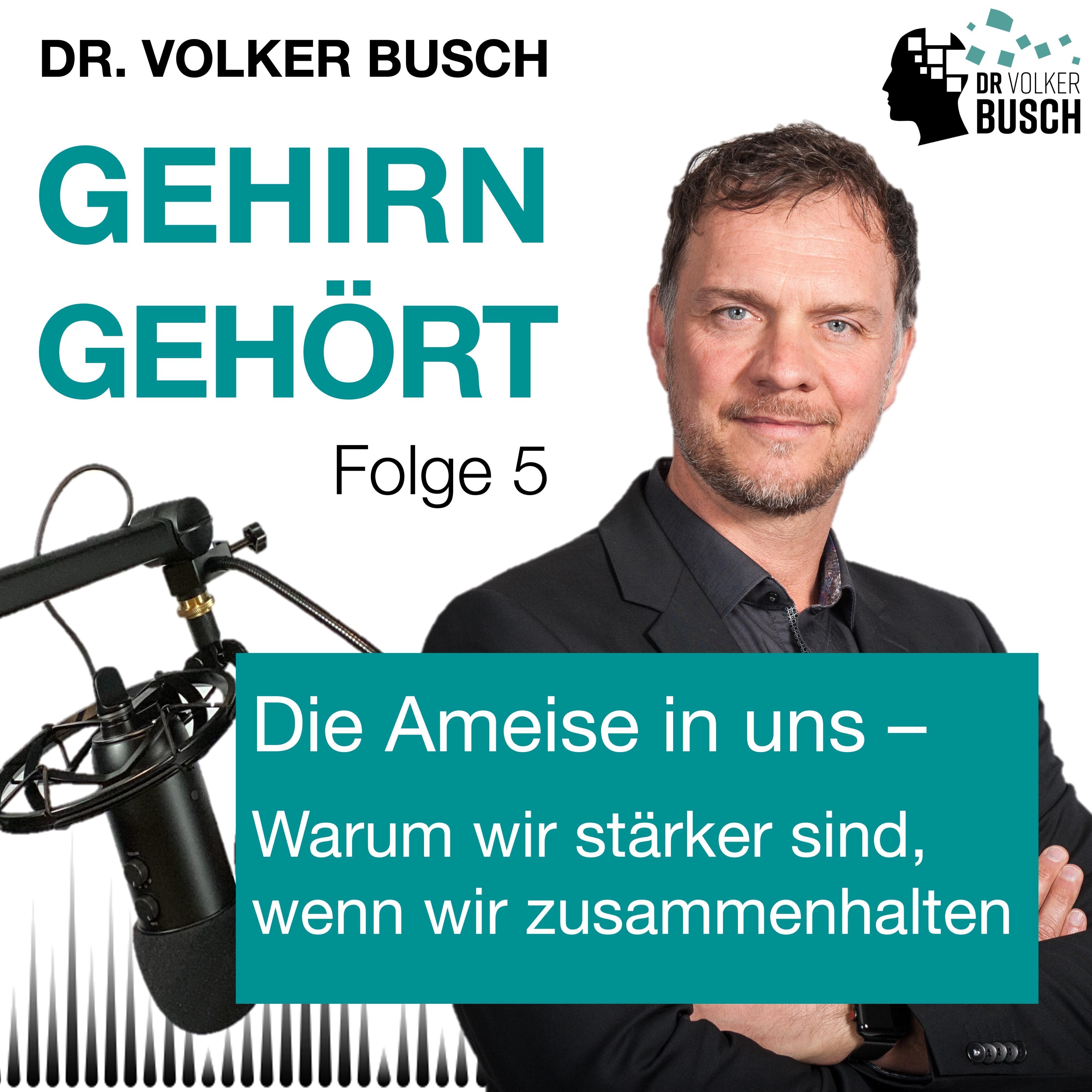 Gehirn gehört - Prof. Dr. Volker Busch