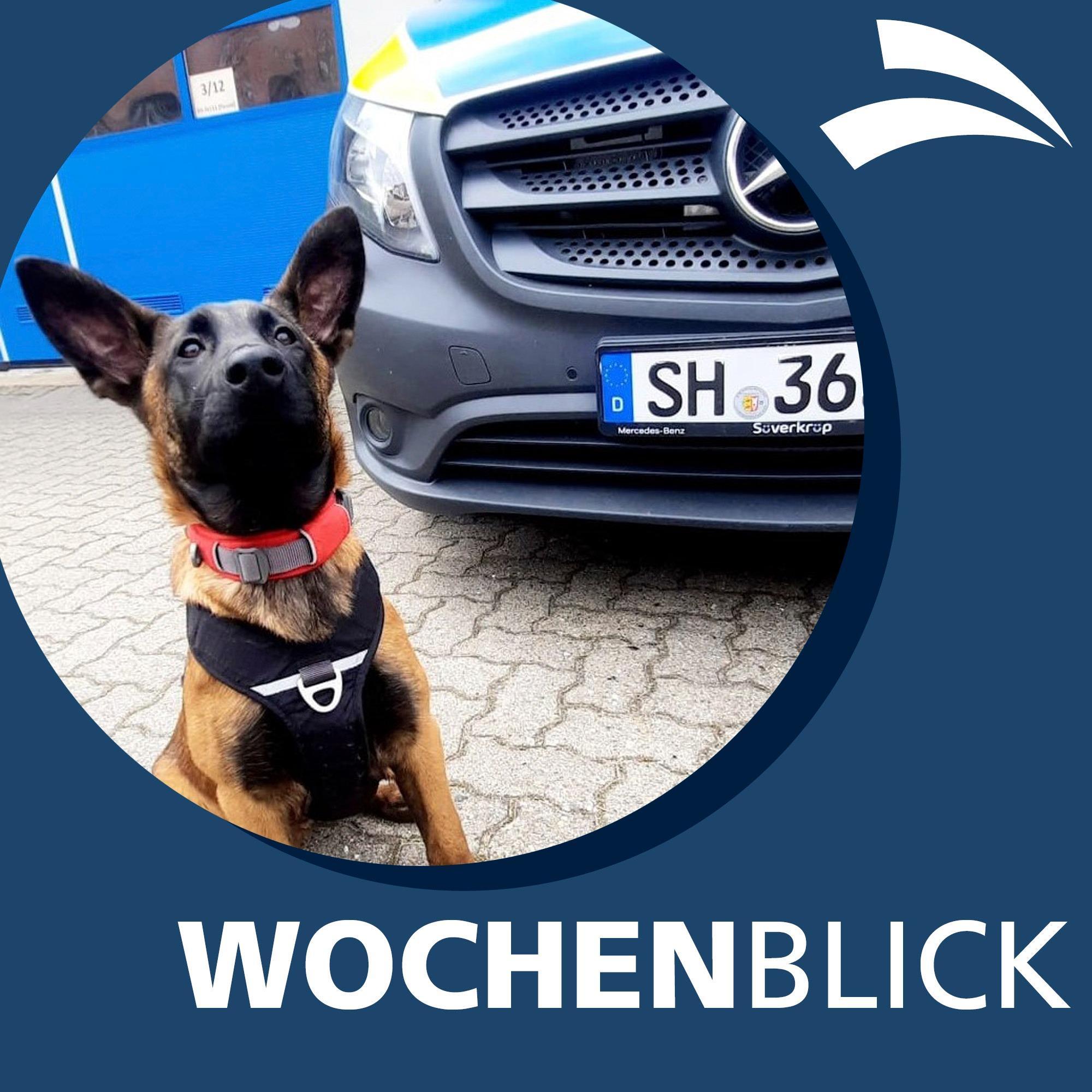 Wochenblick