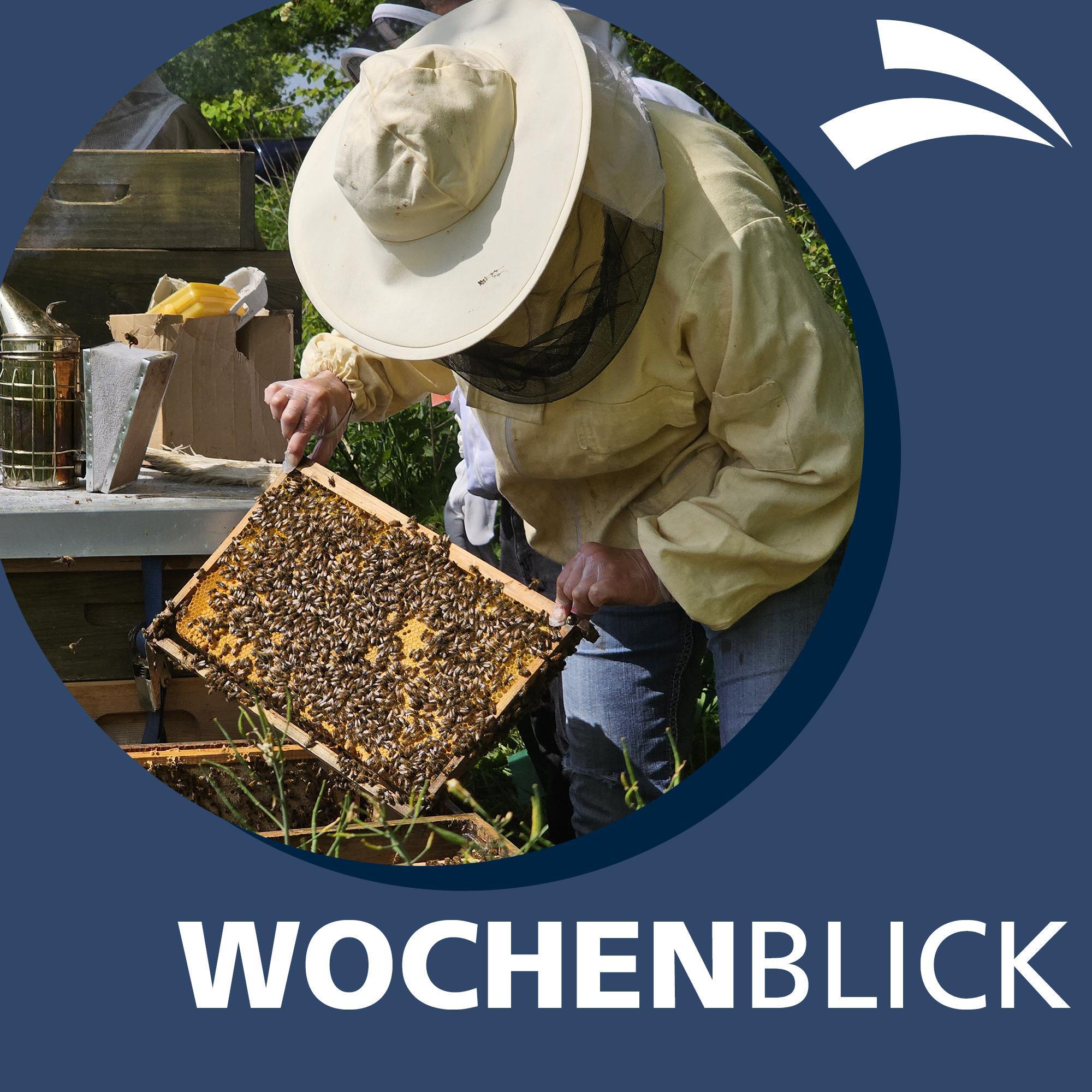 Wochenblick