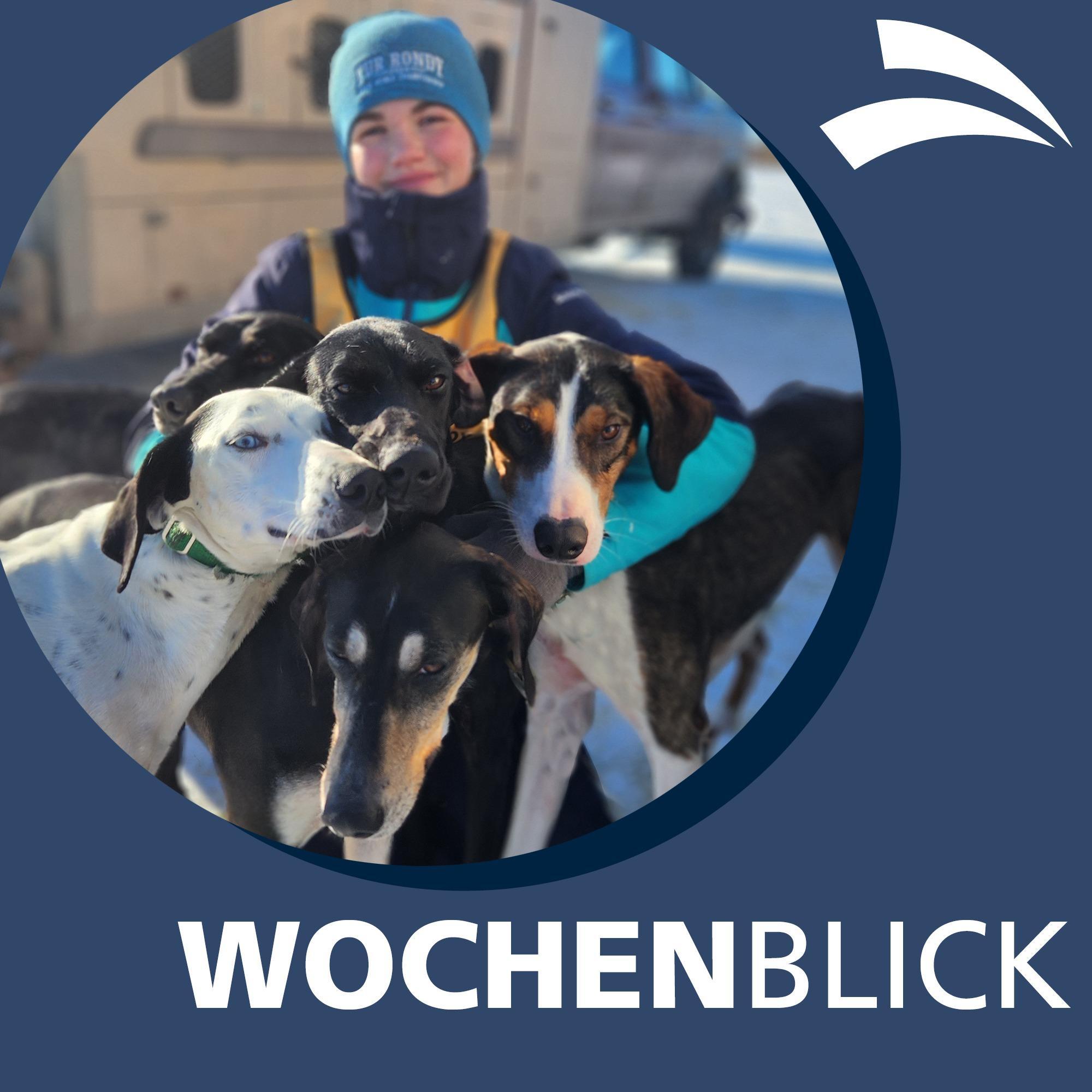 Wochenblick