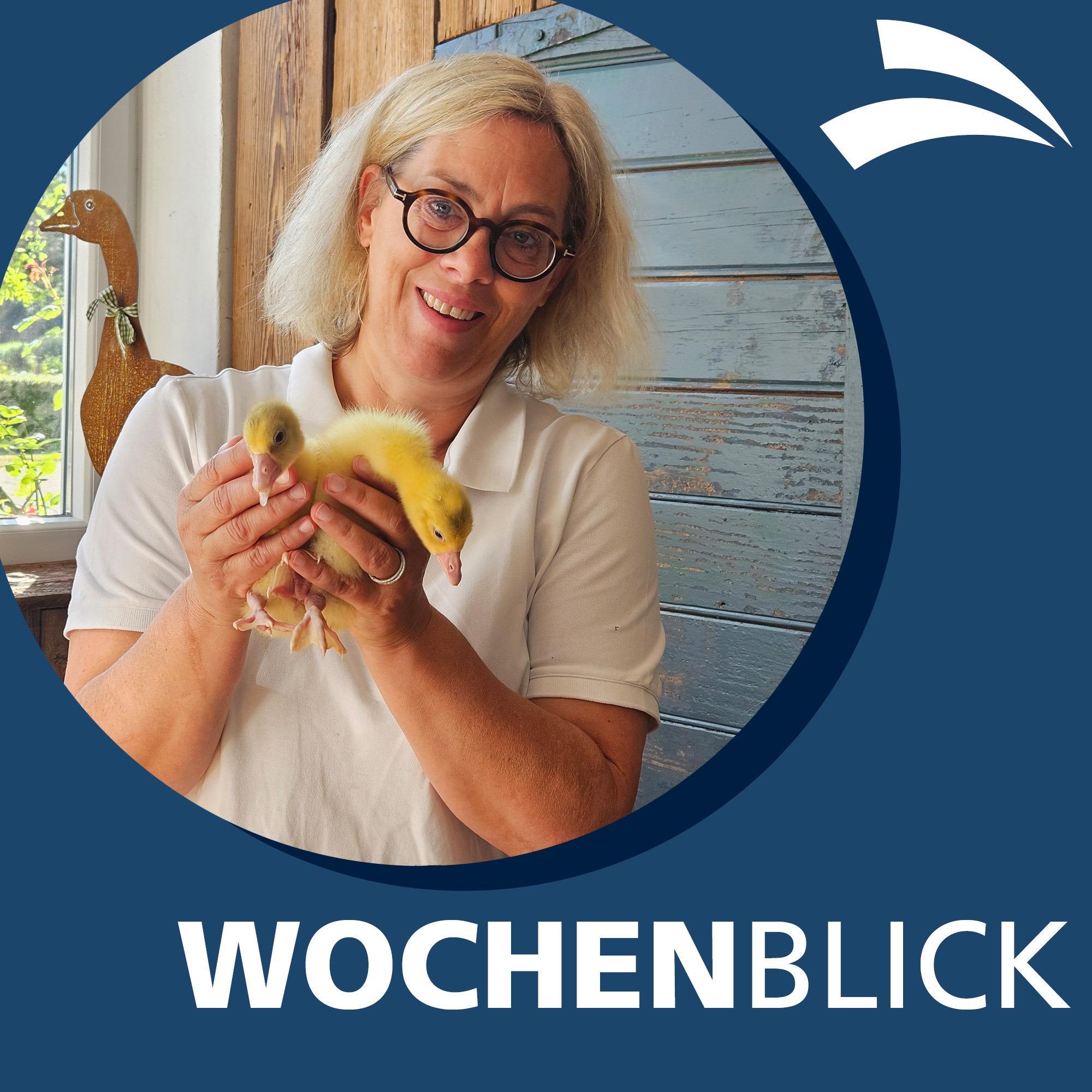 Wochenblick