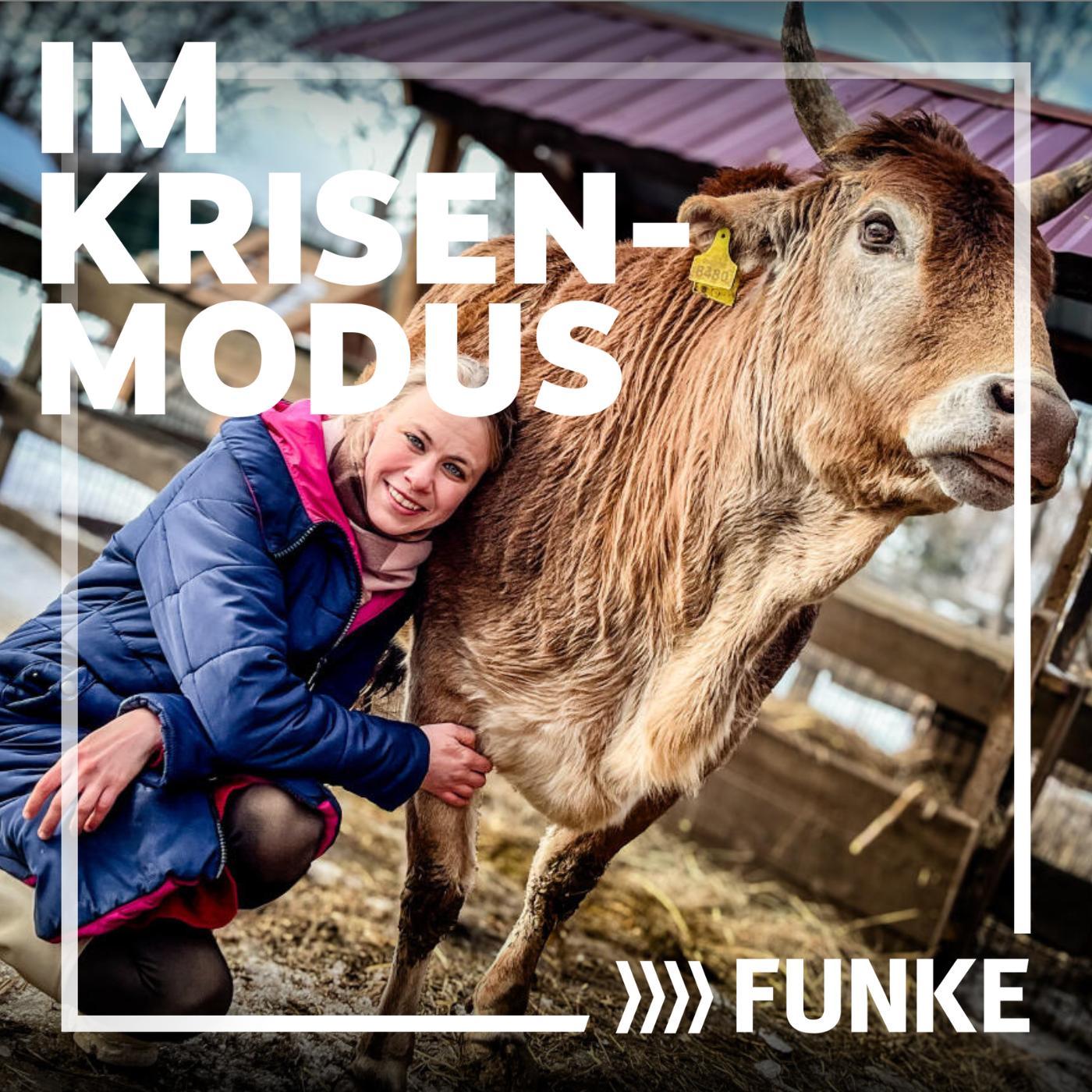 Die Leopardin, der Krieg und die Tierretter in Charkiw