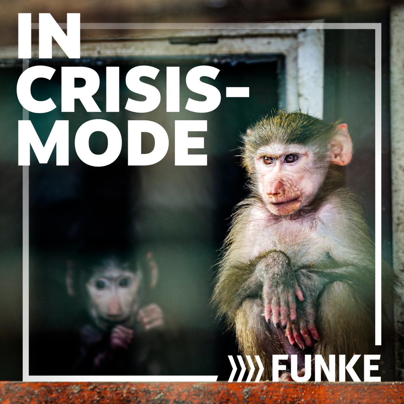 A Leopardess, War, and the Animal Rescuers of Kharkiv