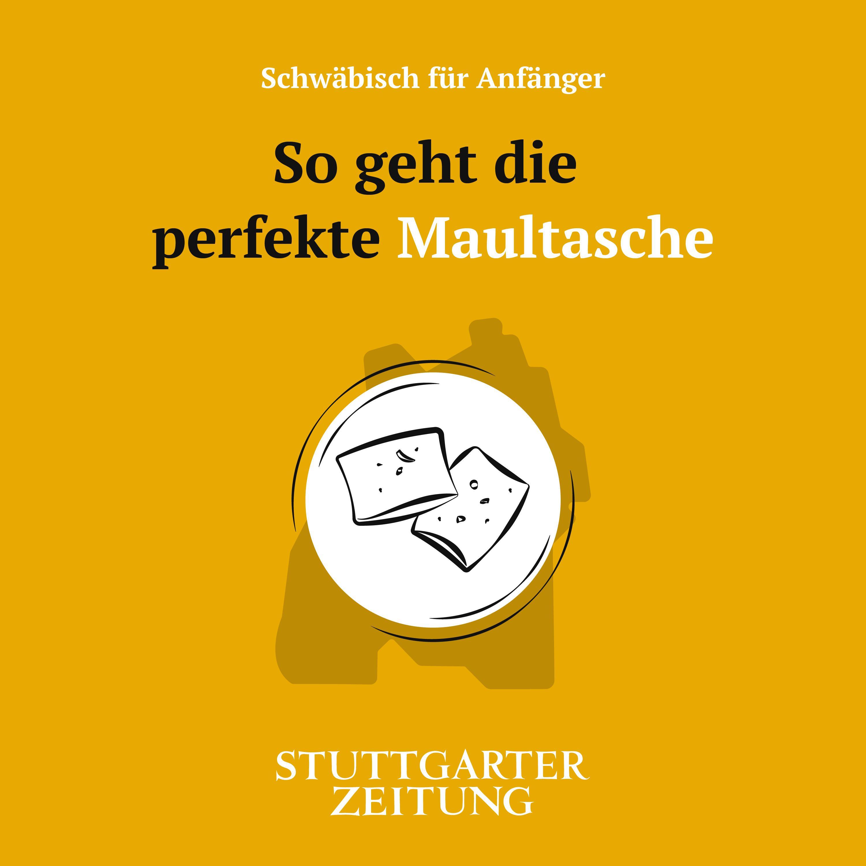 Schwäbisch für Anfänger