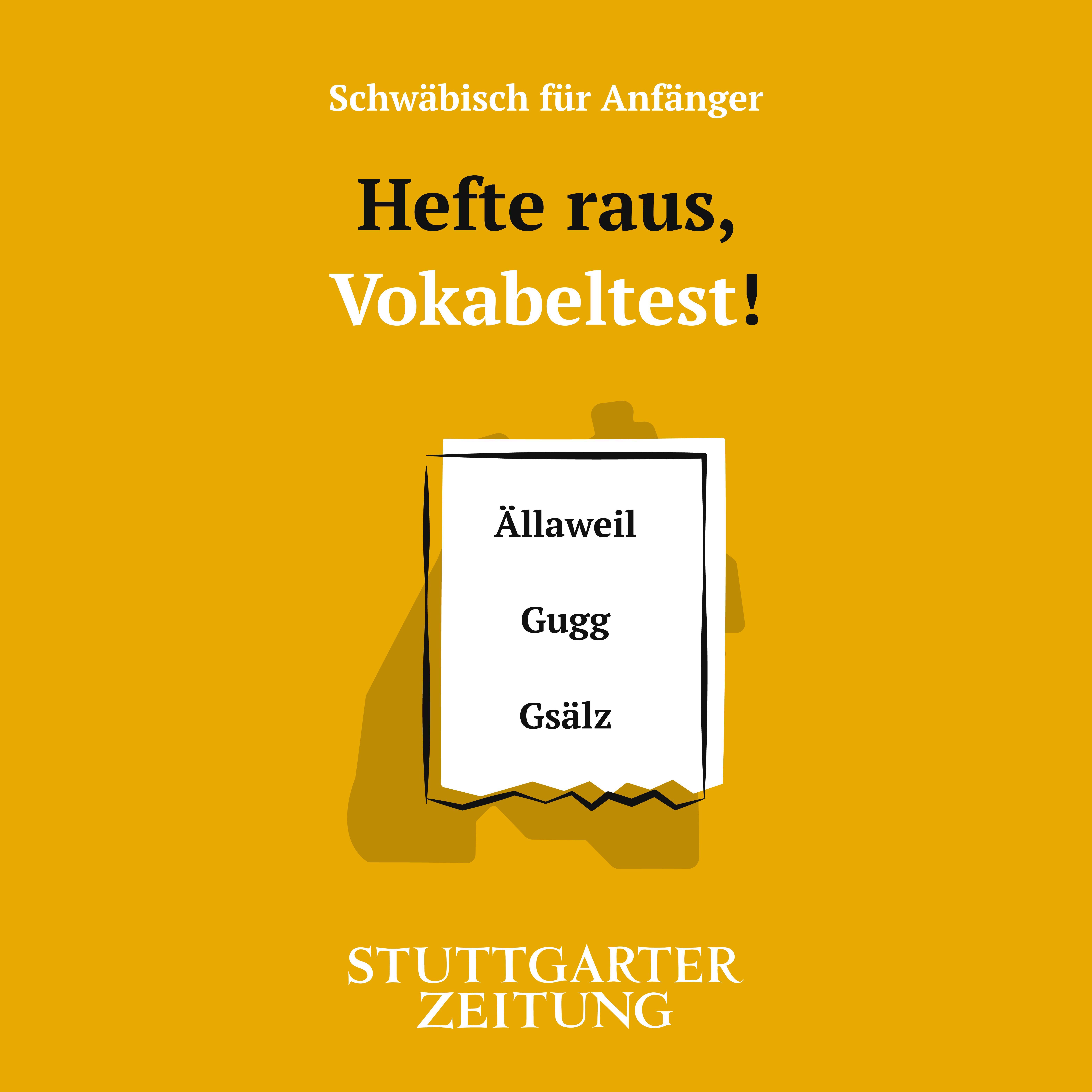 Schwäbisch für Anfänger
