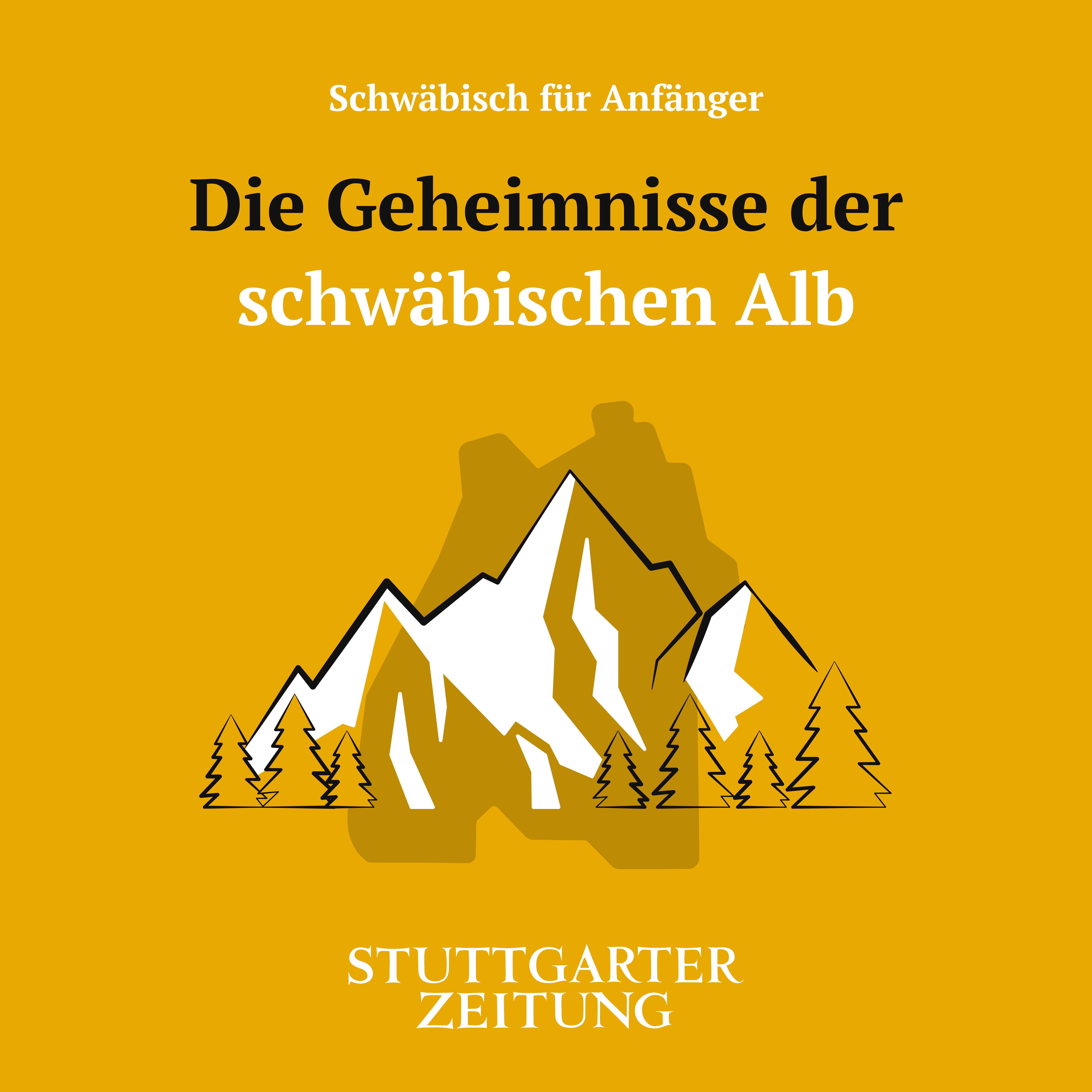 Schwäbisch für Anfänger