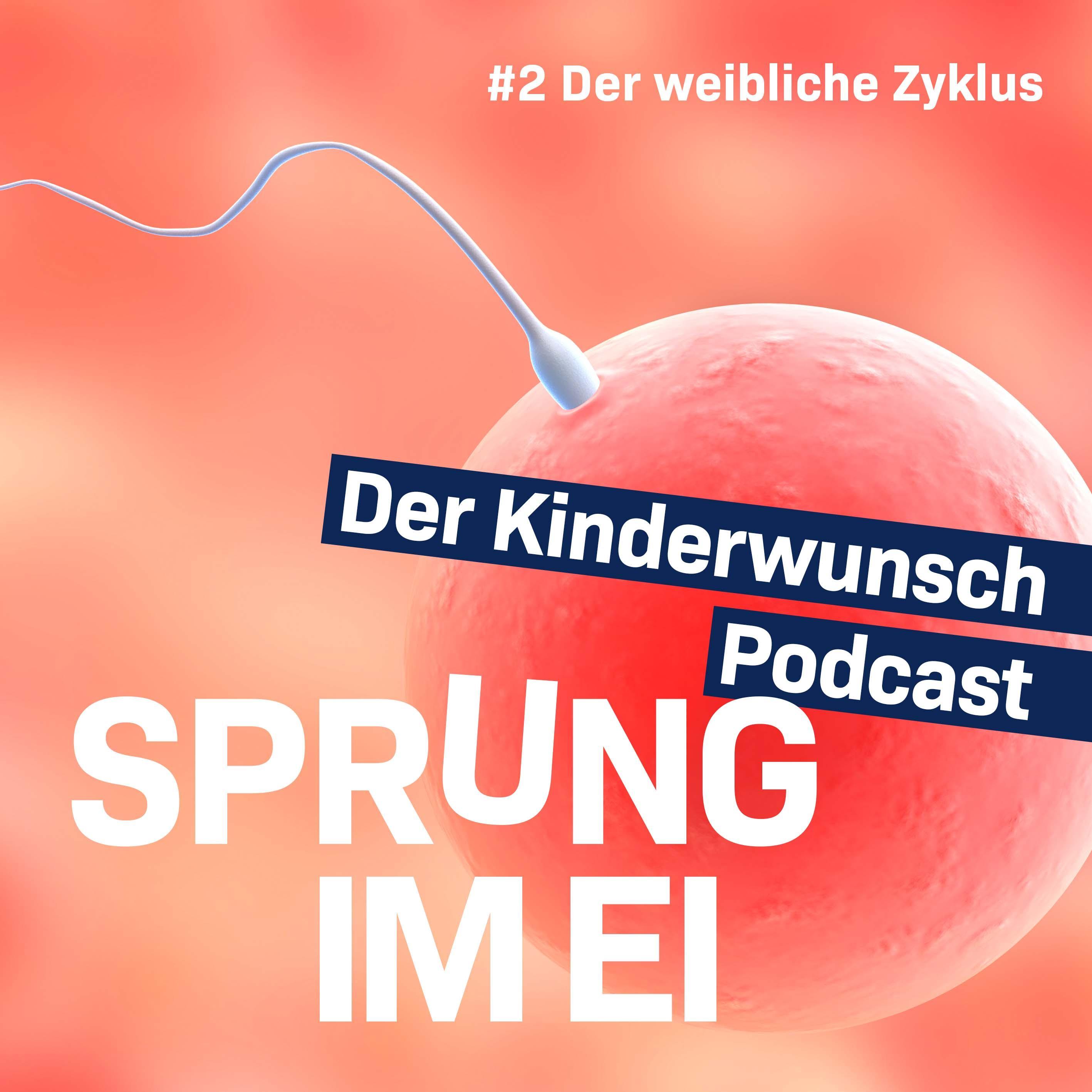 #2: Der weibliche Zyklus