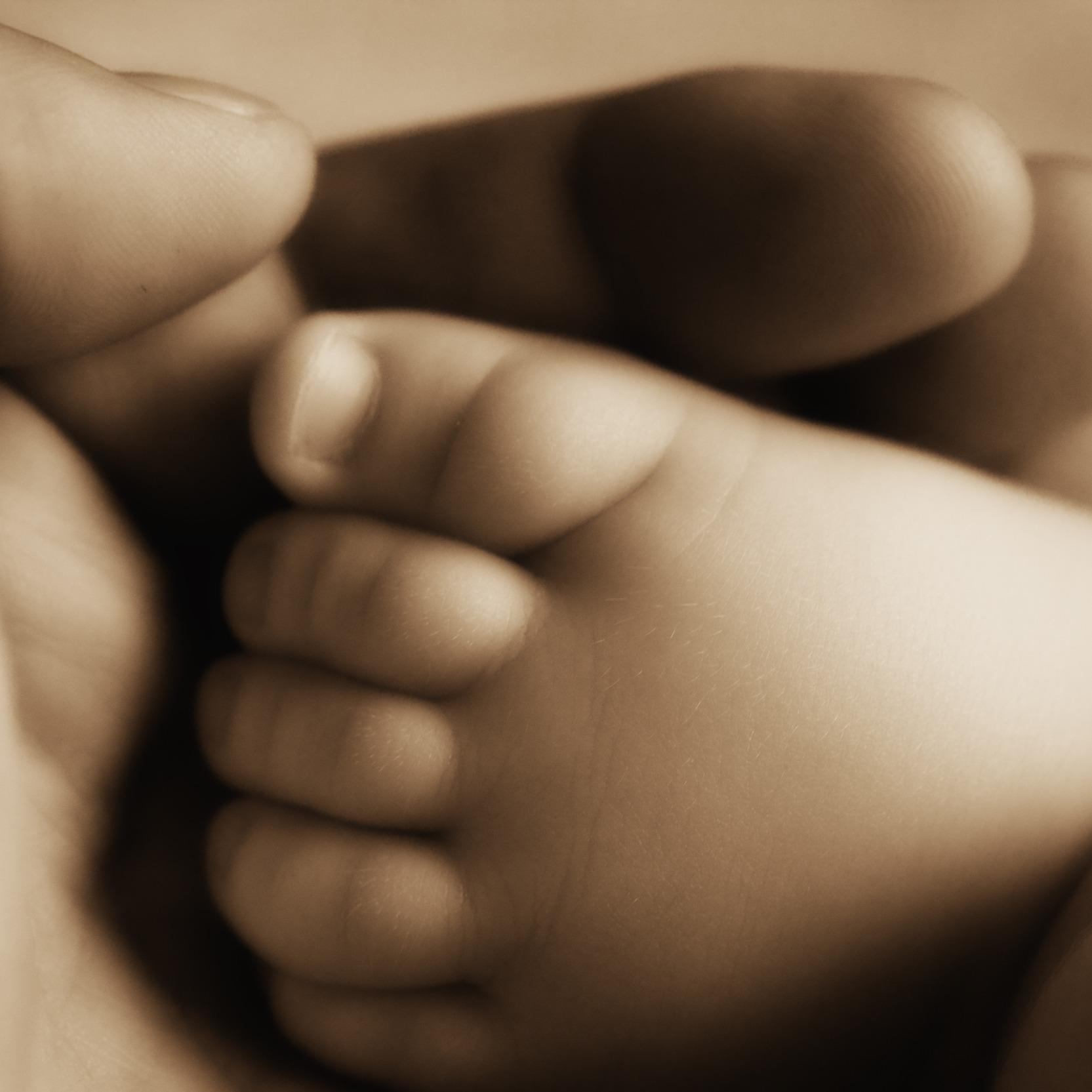 What’s Up, Dad? What’s Up, Dad?