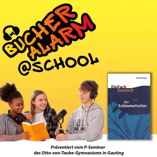 https://buecheralarmschool.blogs.audiorella.com/15-schimmelreiter