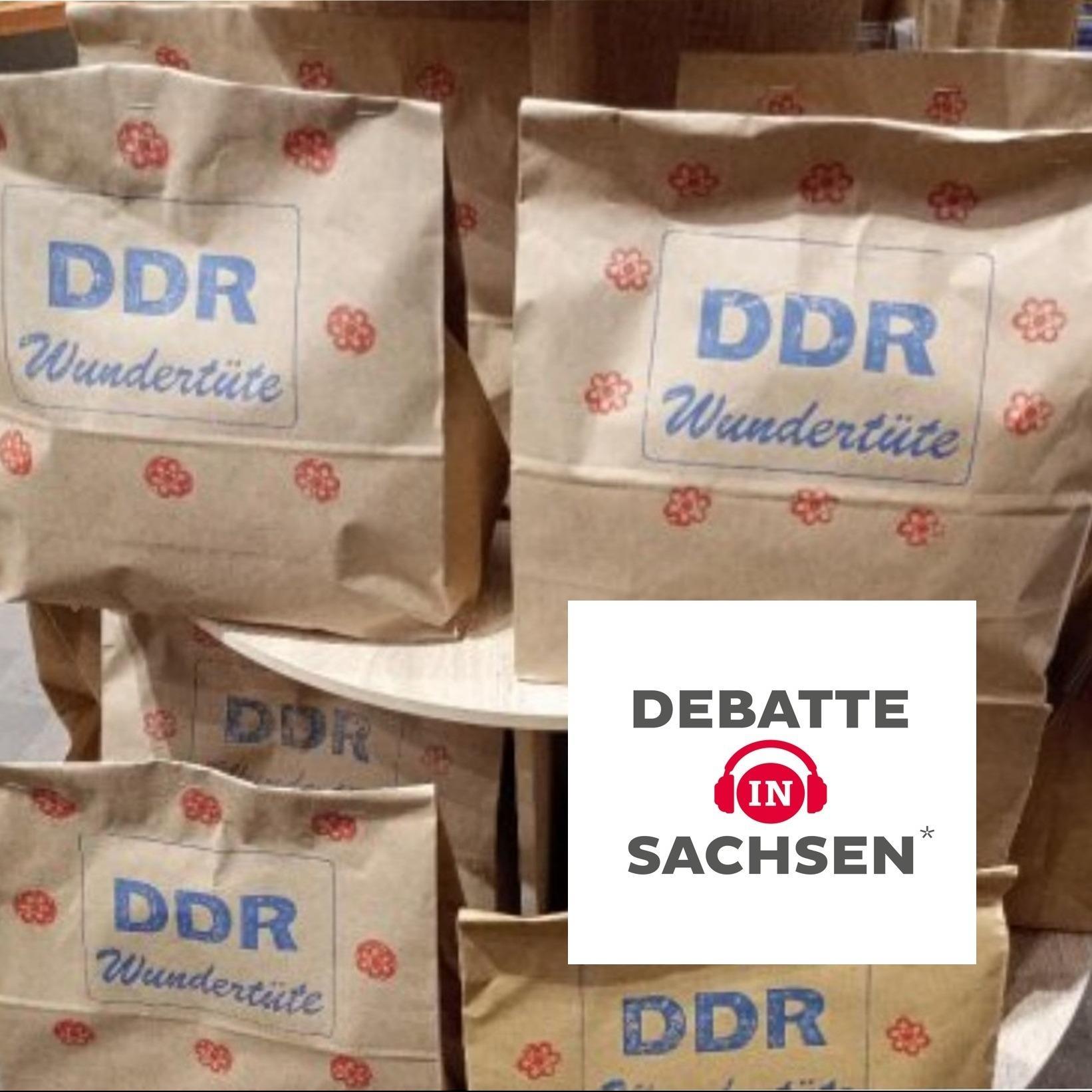 Brauchen wir ein neues Bild der DDR? Brauchen wir ein neues Bild der DDR?