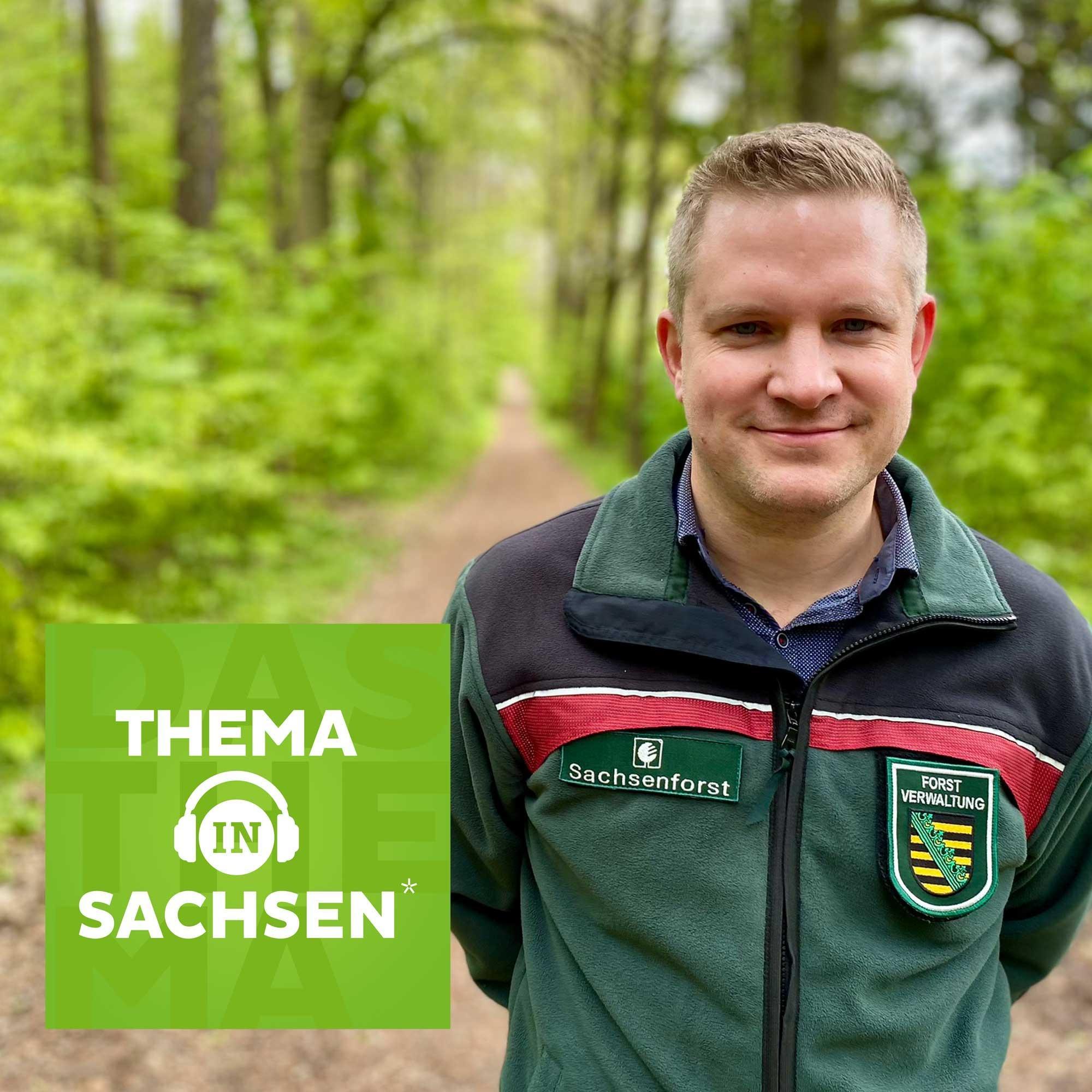 Thema in Sachsen