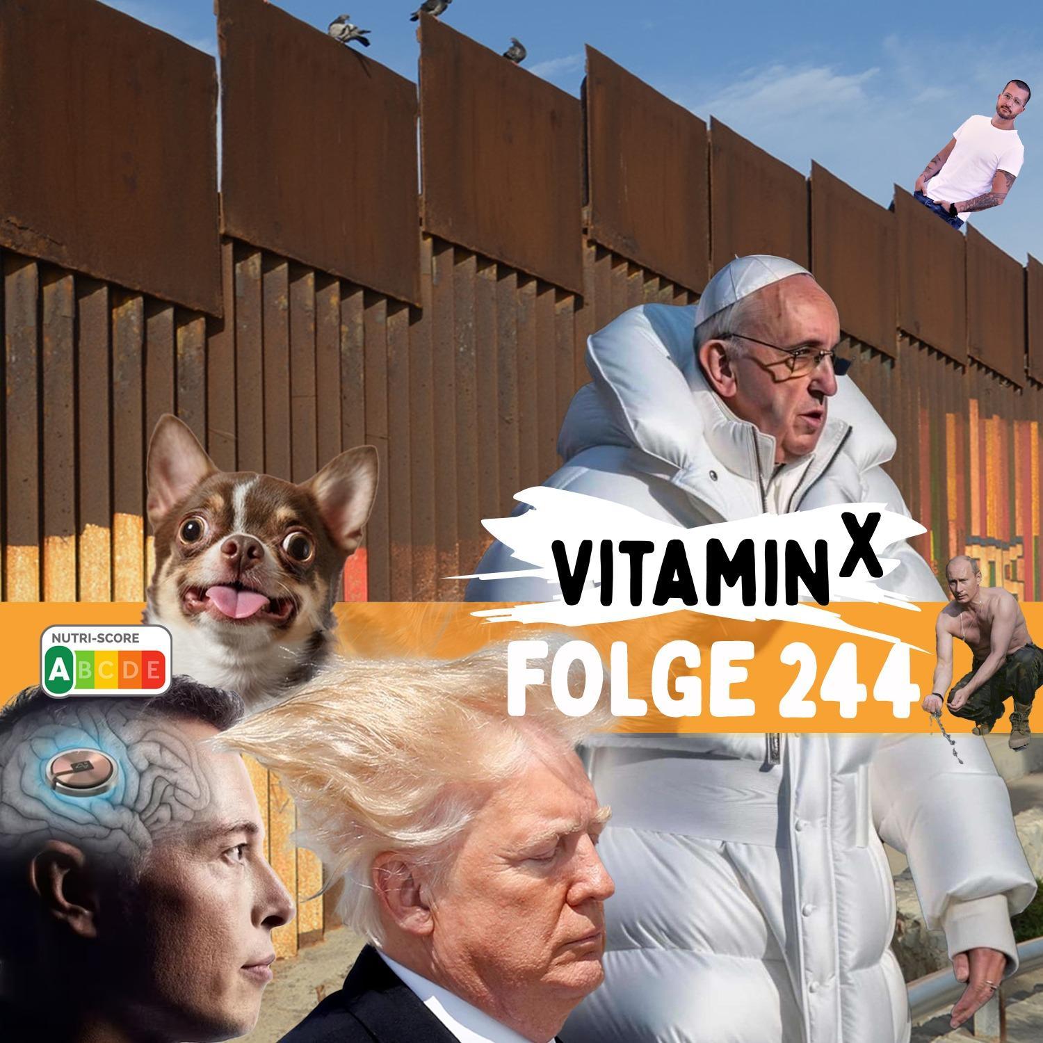 Trumps Mexiko-Mauer Deepfake wegen Putins Neuralink-Chip? 🧐👻 #244
