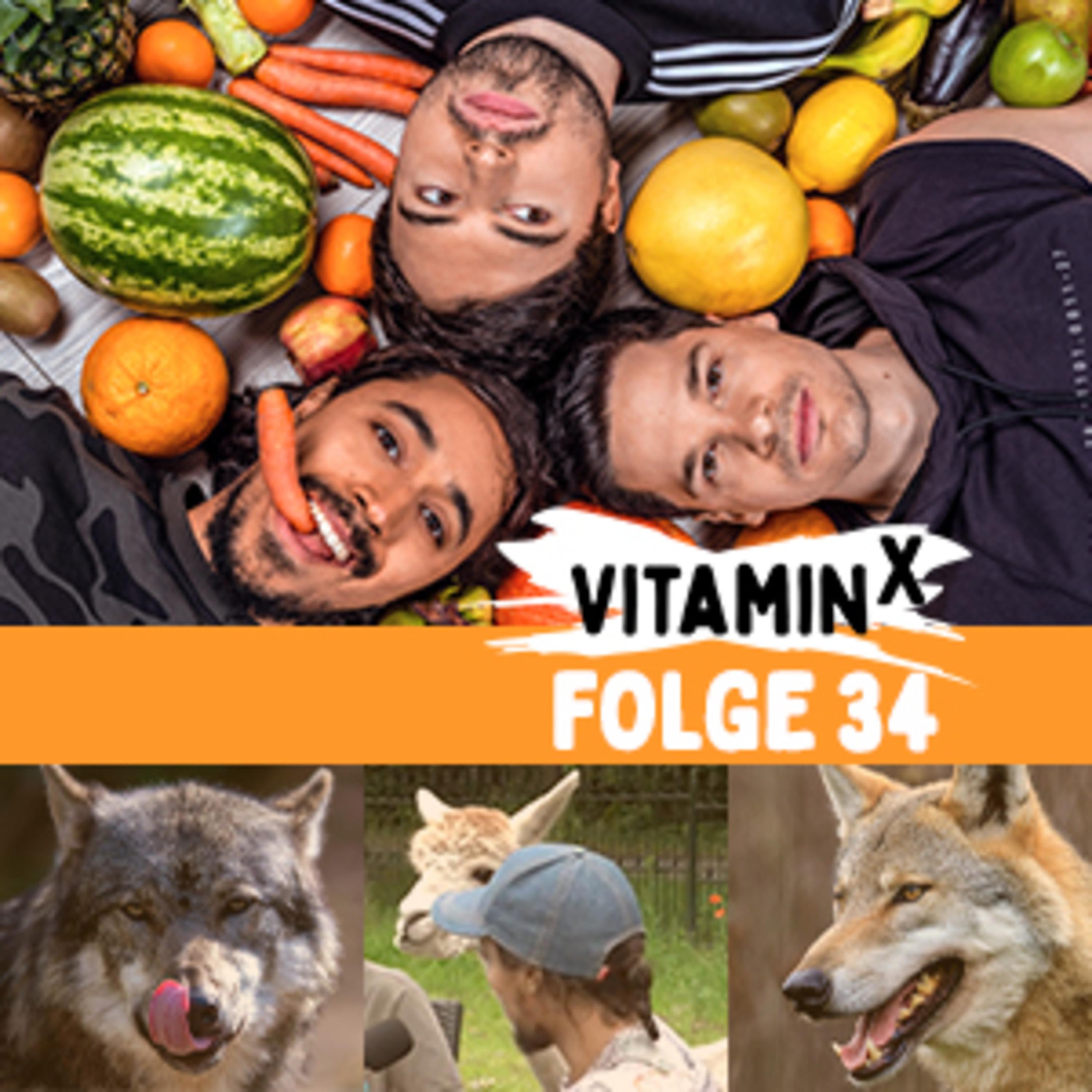 Vitamin X - der Podcast