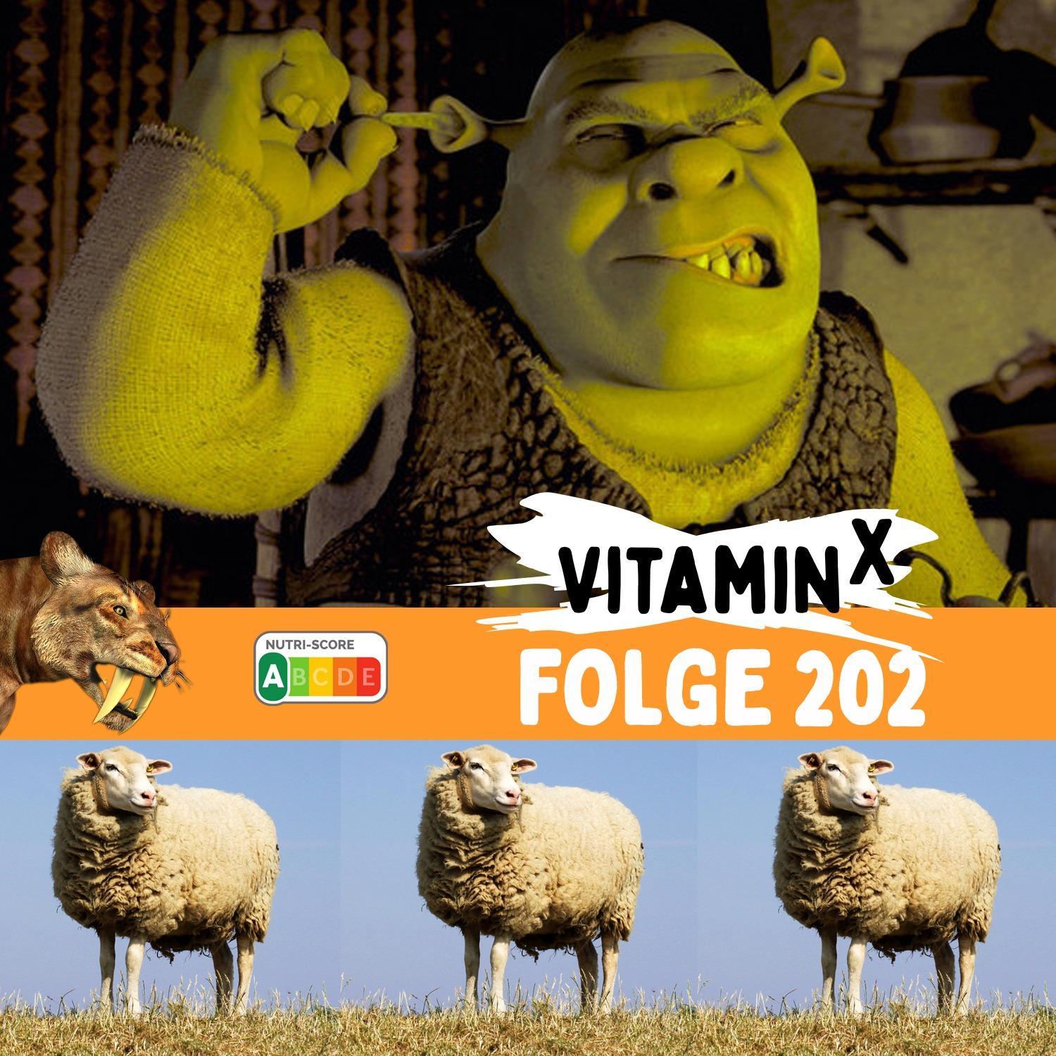 Diese MORGENROUTINE schützt vor Säbelzahntigern & Schafen! 🐯🐑  #202