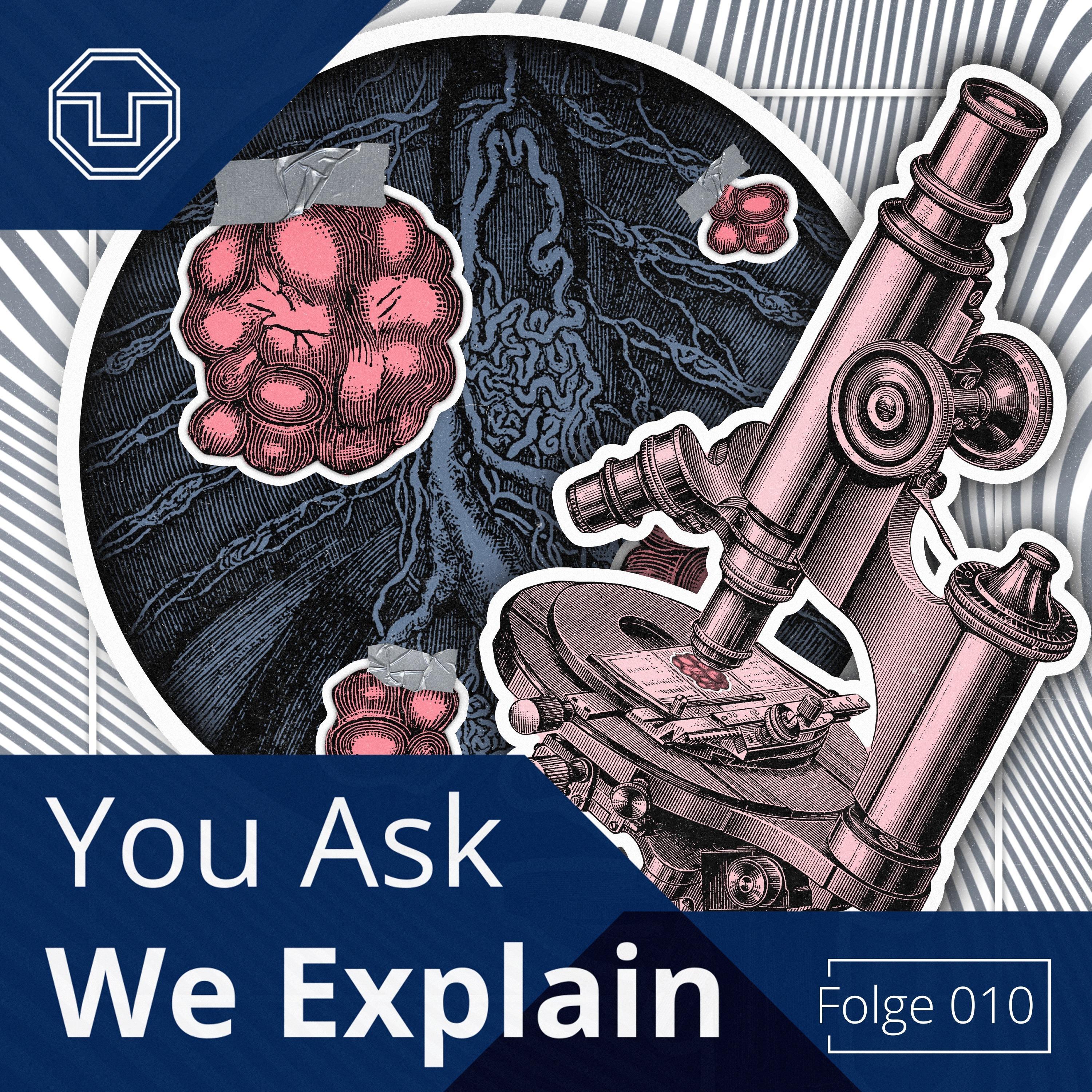 You Ask We Explain