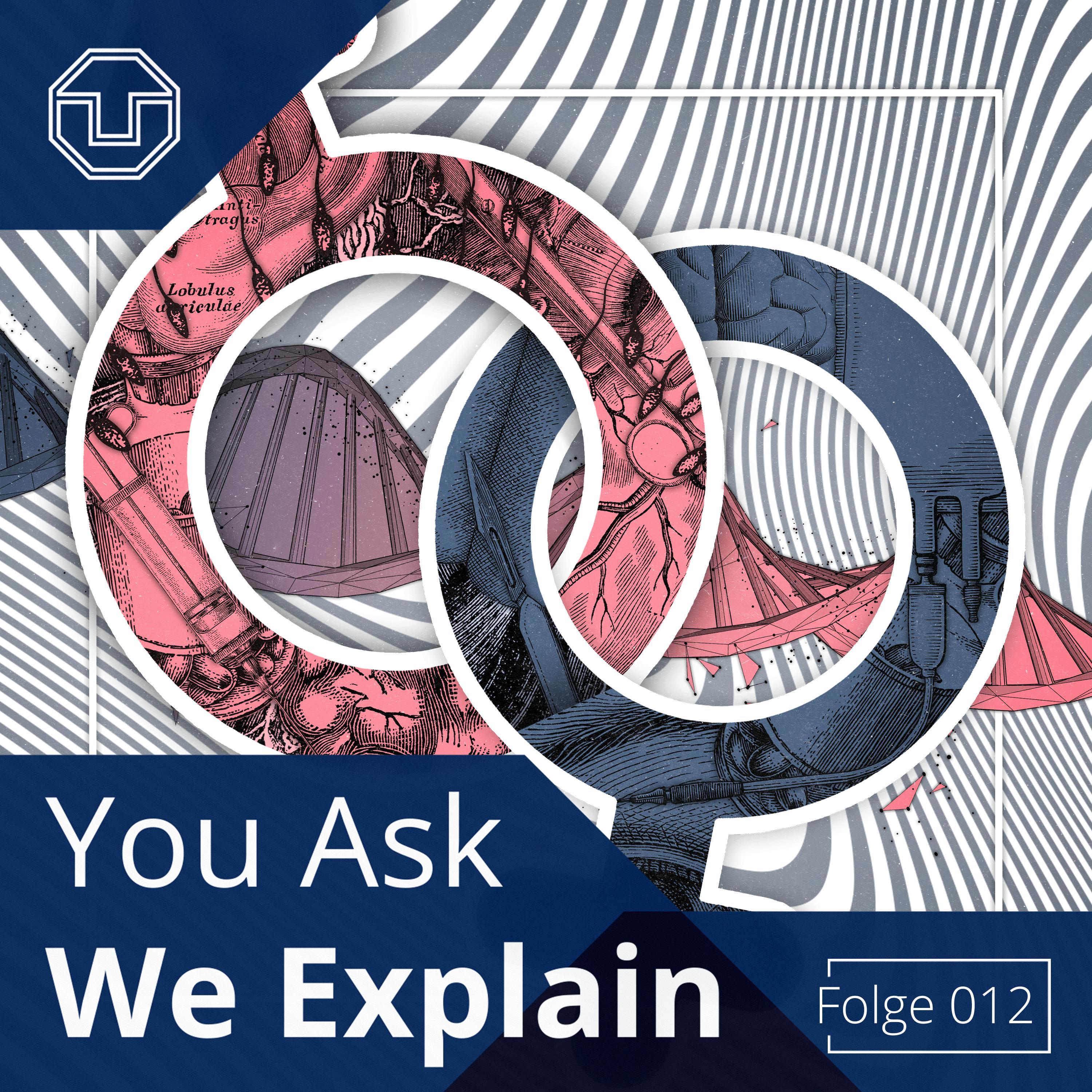 You Ask We Explain