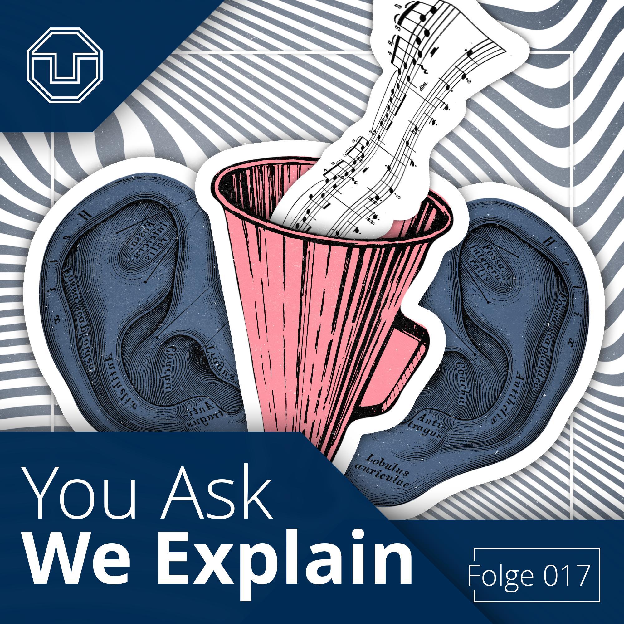 You Ask We Explain