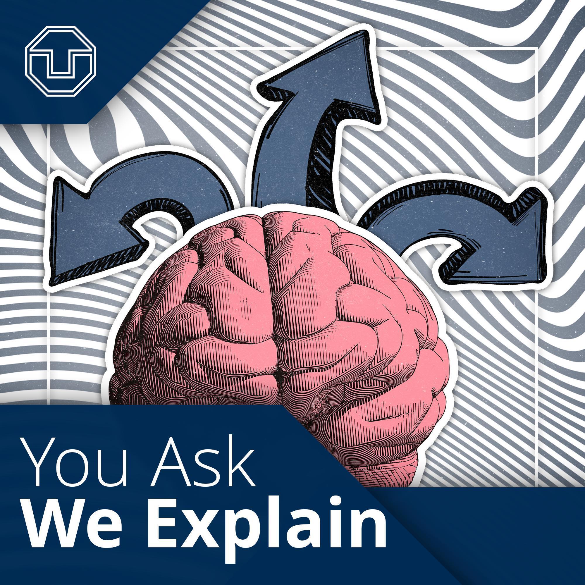 You Ask We Explain