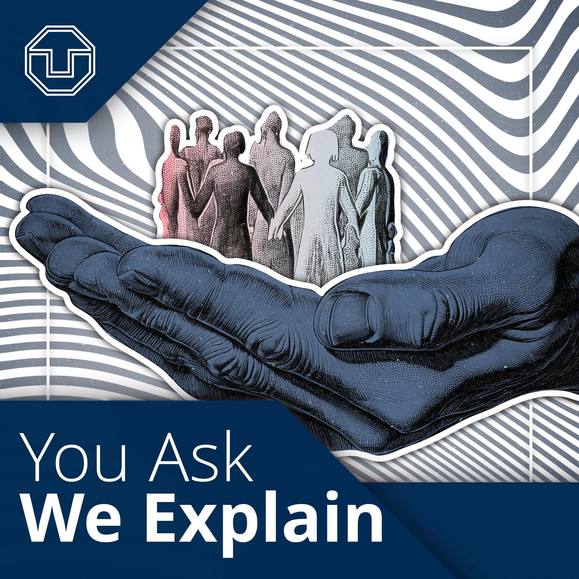 You Ask We Explain