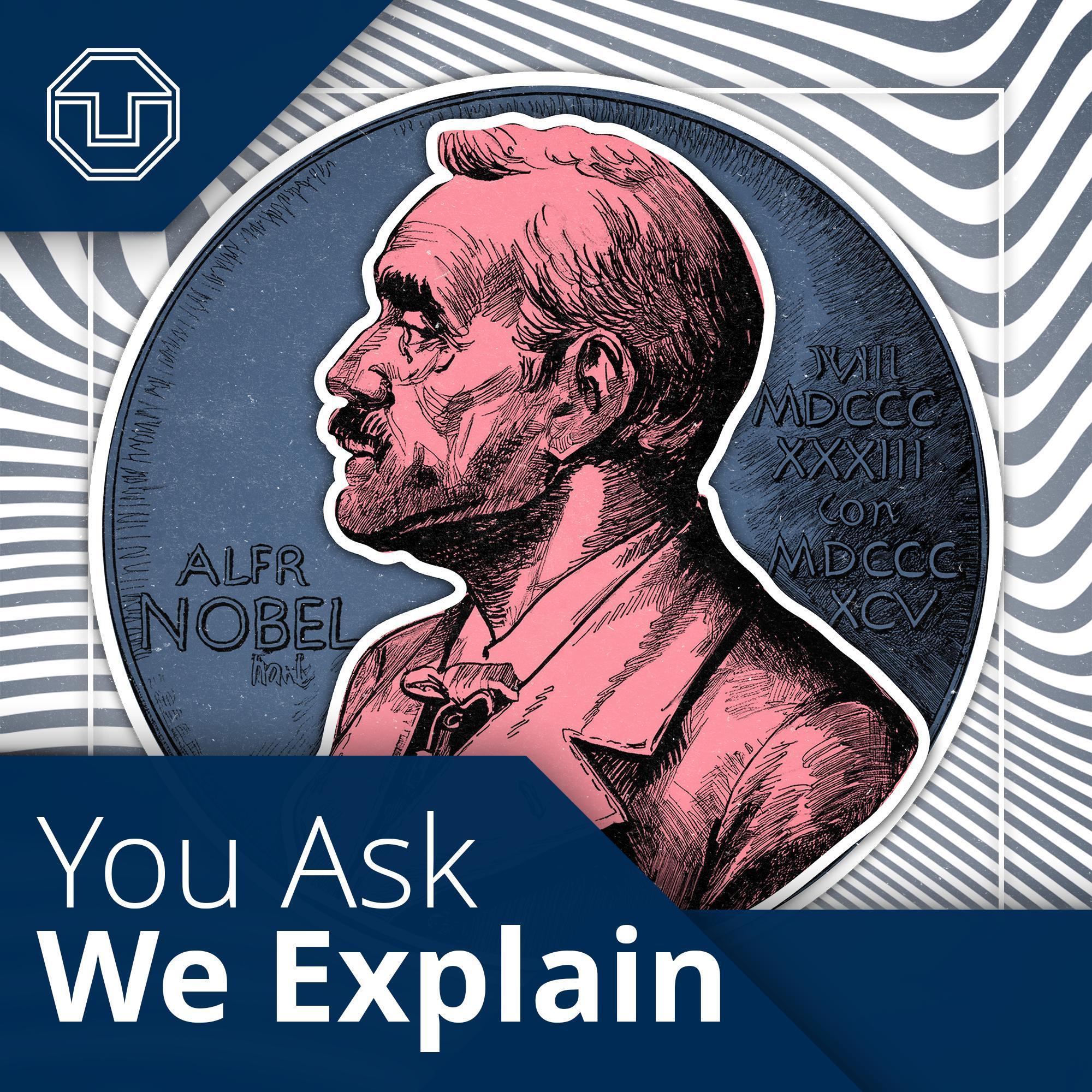 You Ask We Explain
