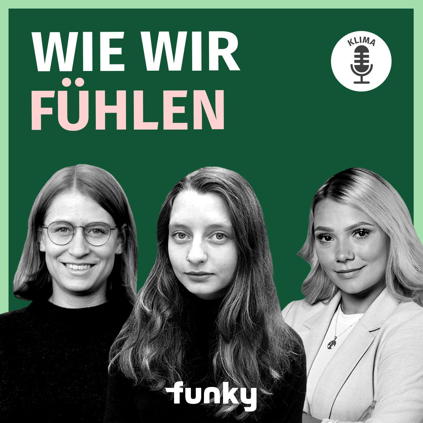 Wie wir fühlen