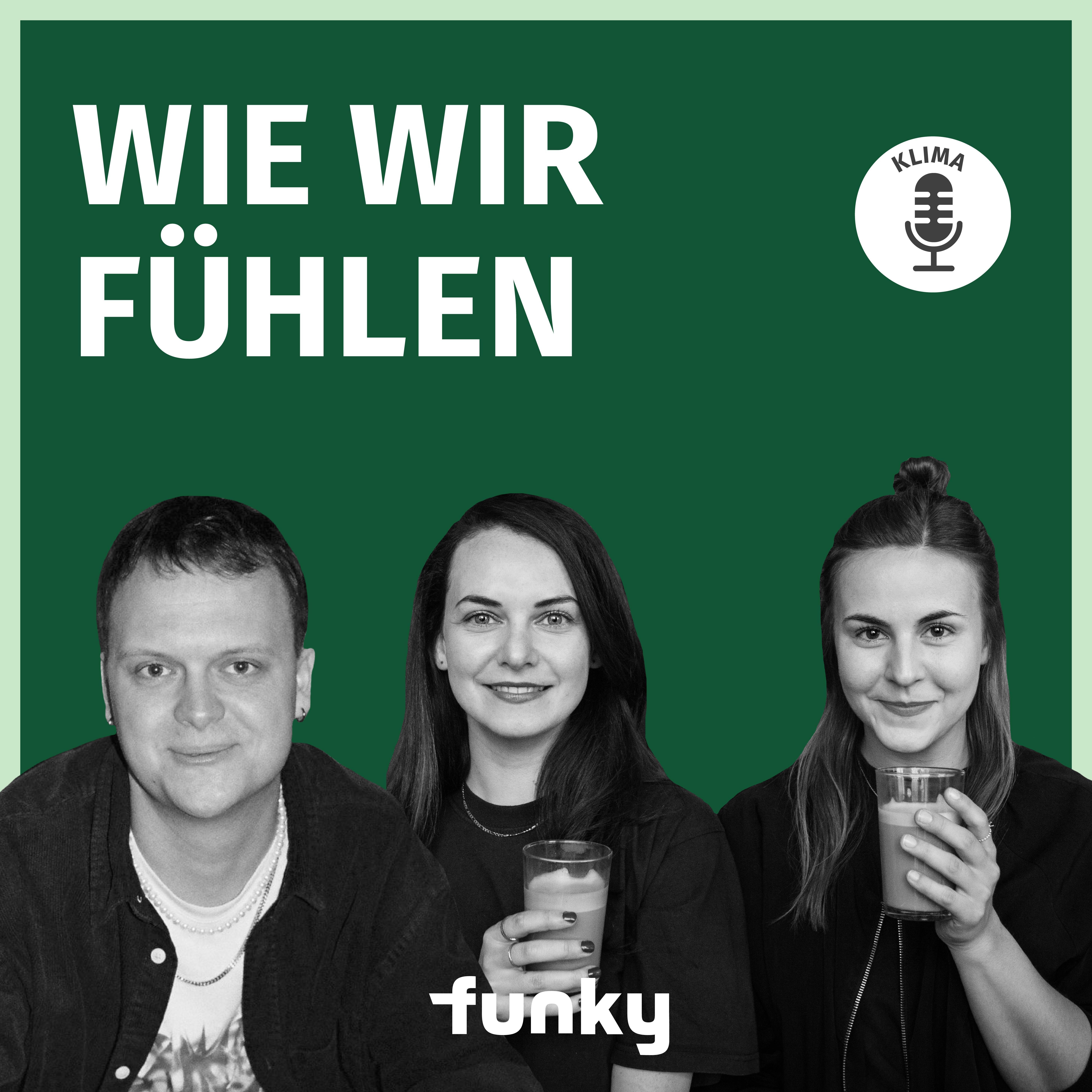 Wie wir fühlen